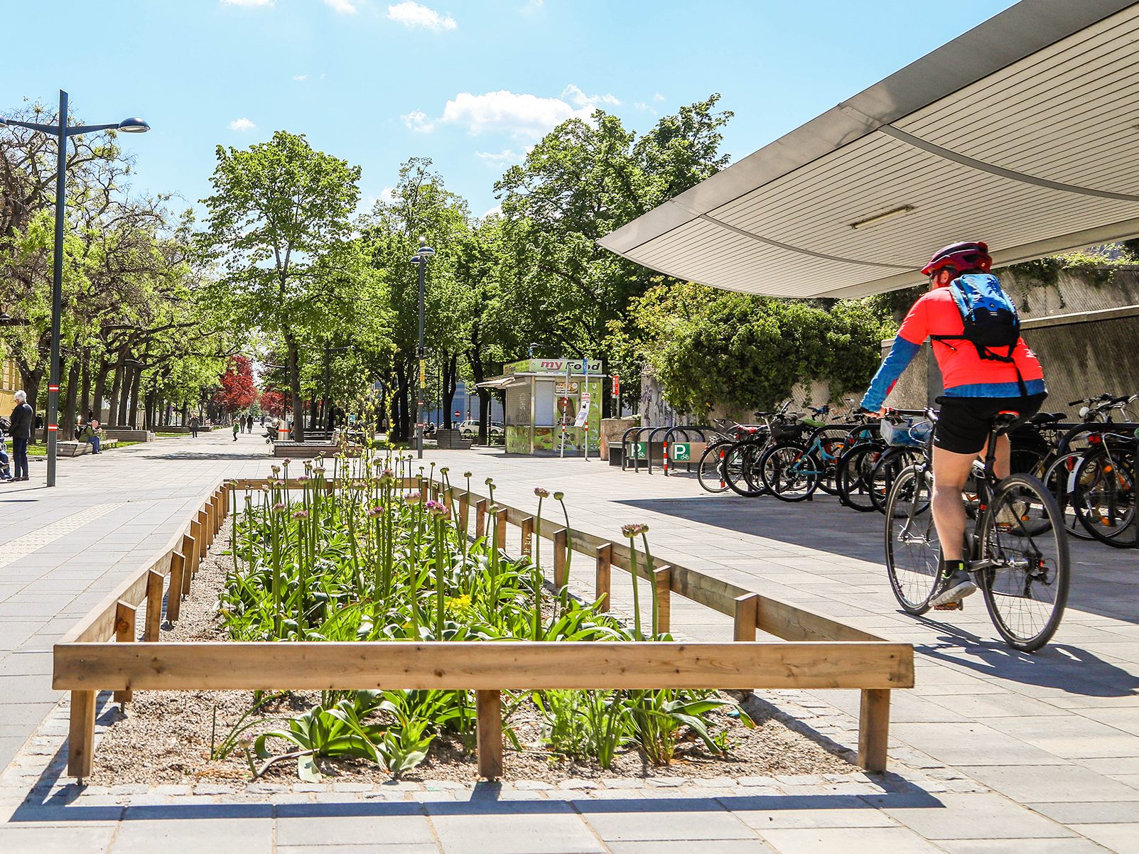 Wien suchte Ideen, um die Stadt grüner zu machen.