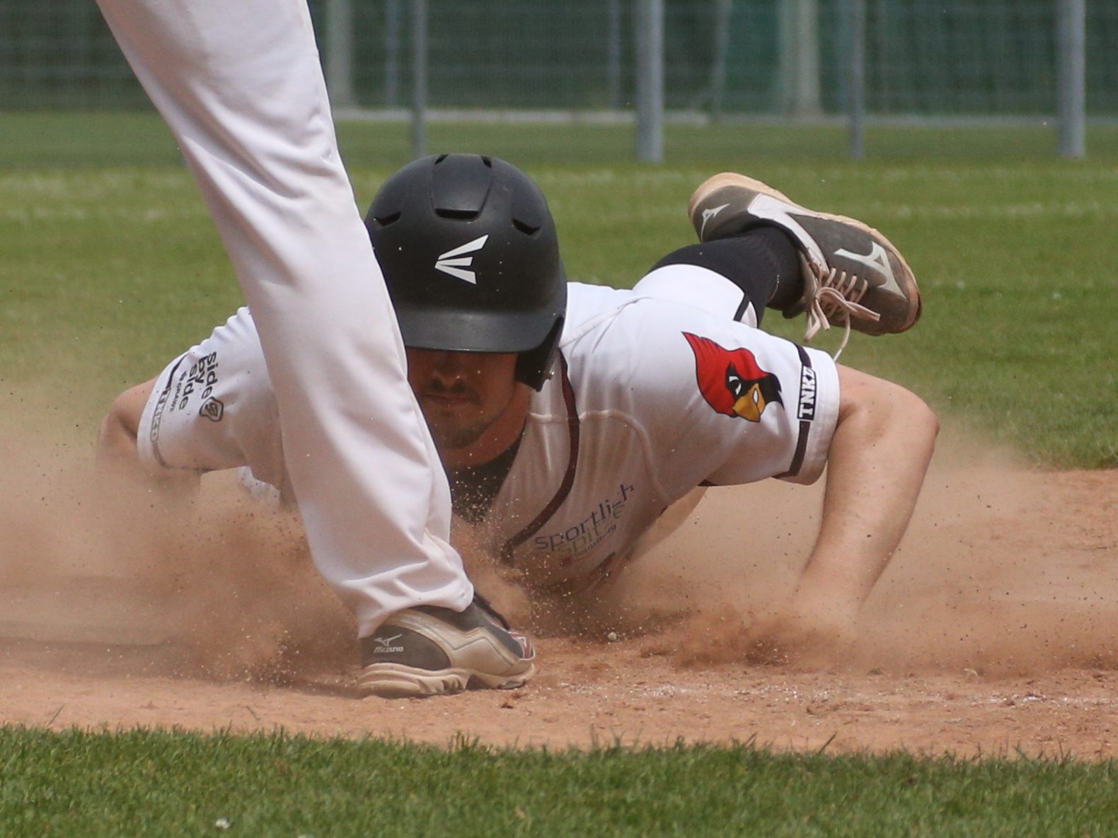 Feldkirch Cardinals