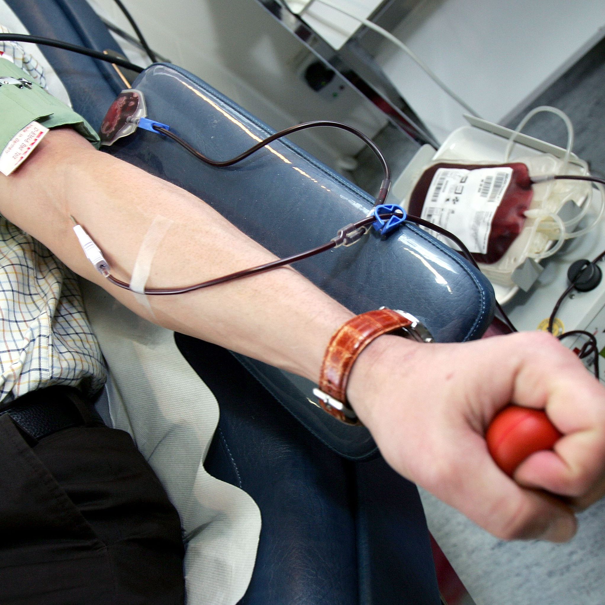 Das Rote Kreuz ruft dringend zum Blutspenden auf