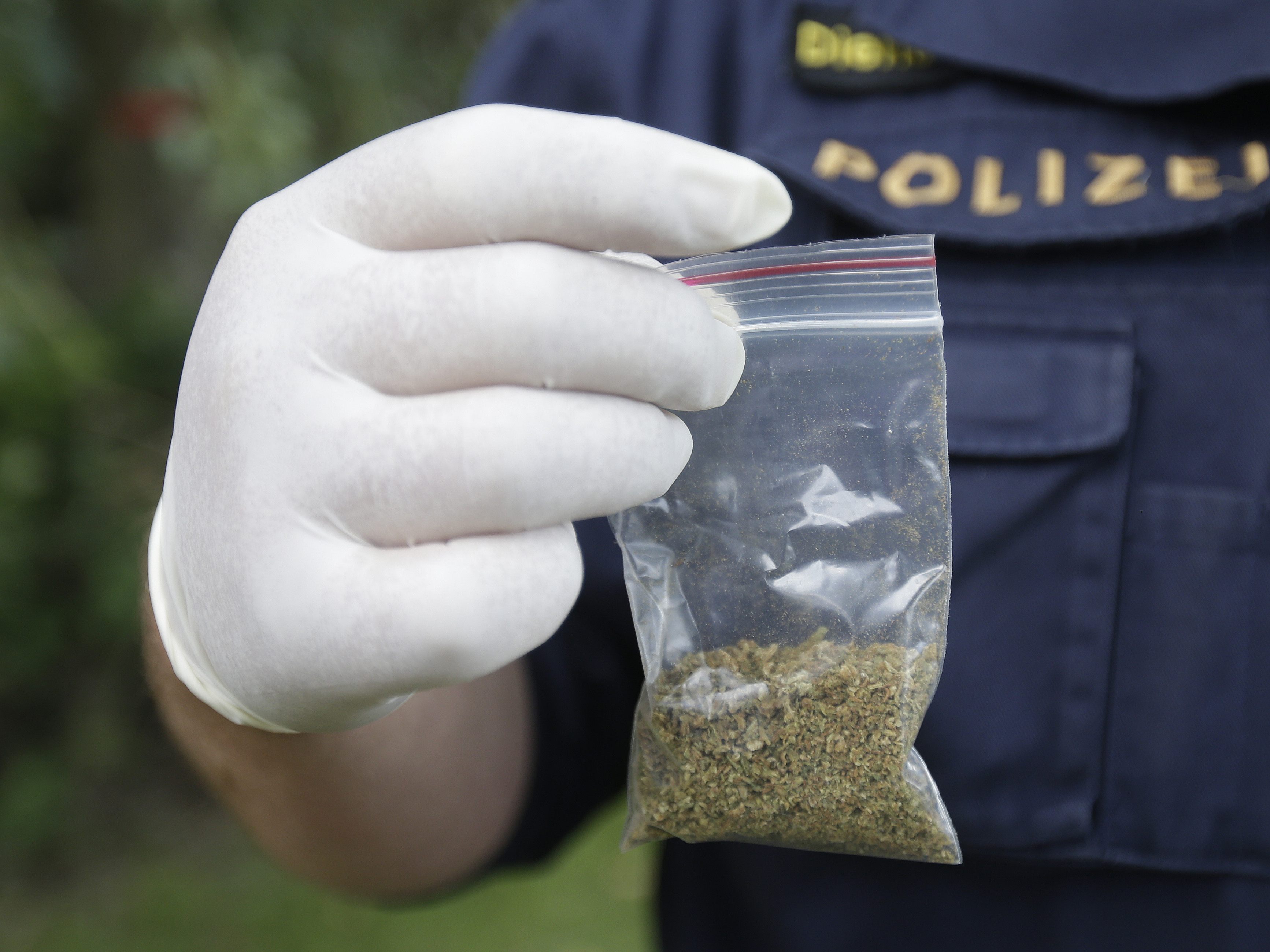Bei den Männern wurde Marihuana sichergestellt.