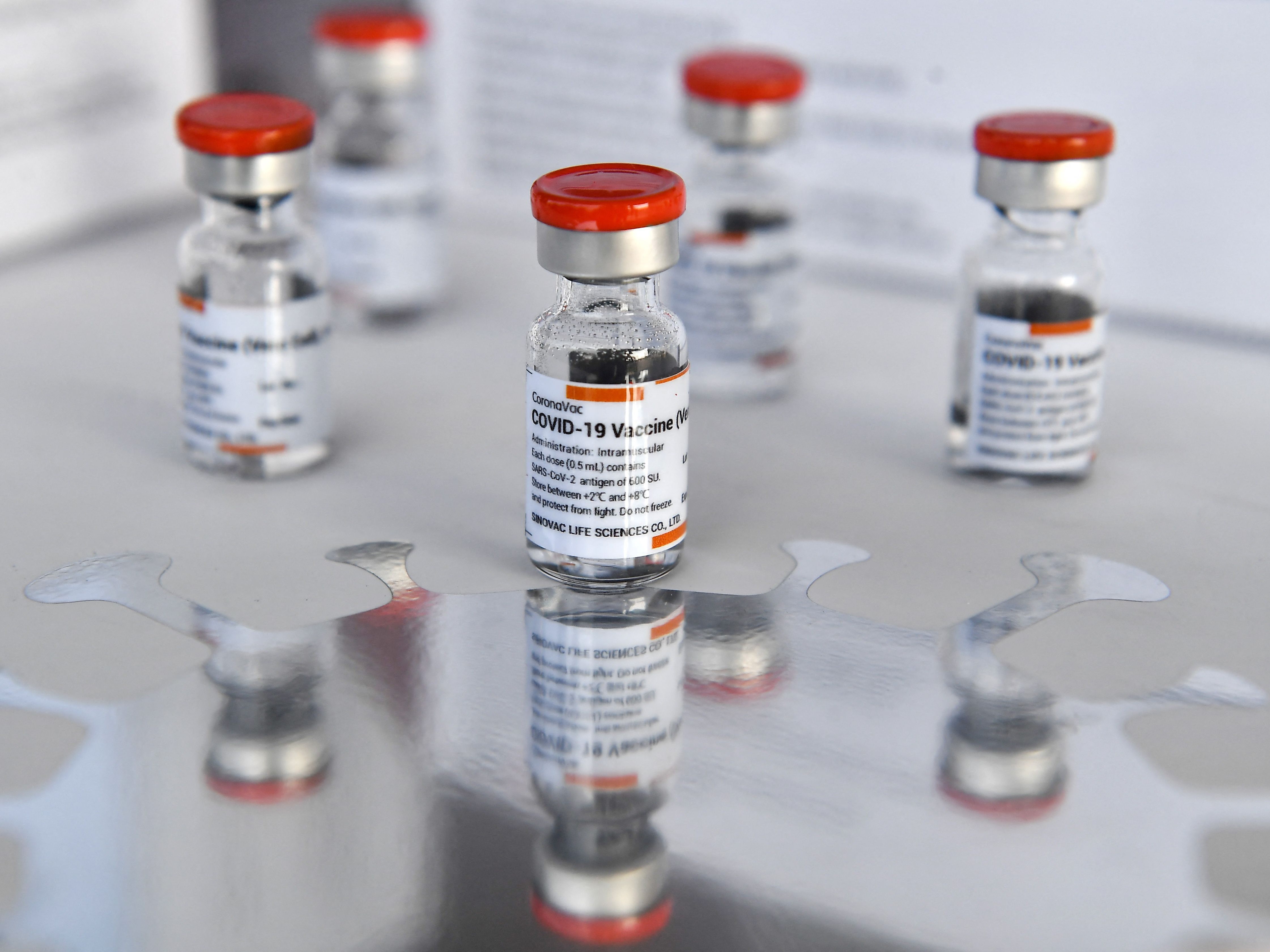 Der Corona-Impfstoff von Sinovac entspricht laut WHO internationalen Standards. Der Corona-Impfstoff von Sinovac entspricht laut WHO internationalen Standards.