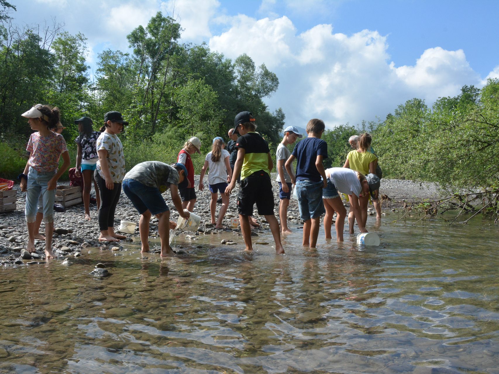 Die Drittklässler der Volksschule Hasenfeld suchten bei einer Flussexkursion kleine Tiere im Wasser.