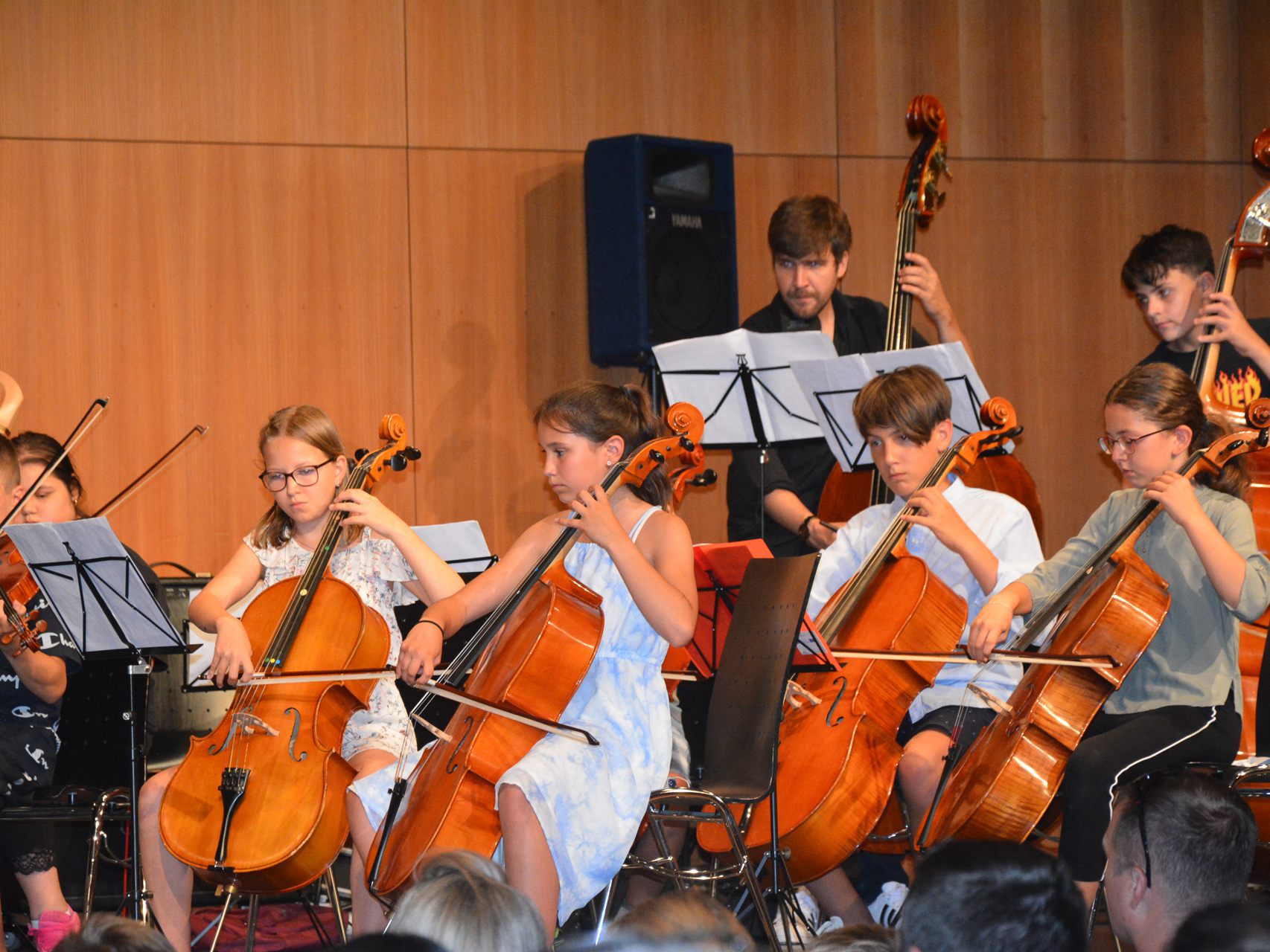 Beim Serenadenkonzert in Höchst demonstrierten die Musikschüler eindrucksvoll ihr Können. Beim Serenadenkonzert in Höchst demonstrierten die Musikschüler eindrucksvoll ihr Können.