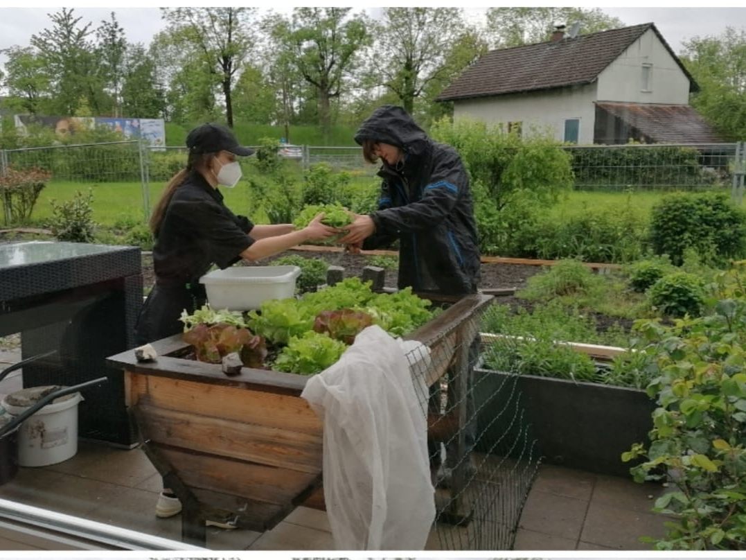 Niklas im DJW Garten