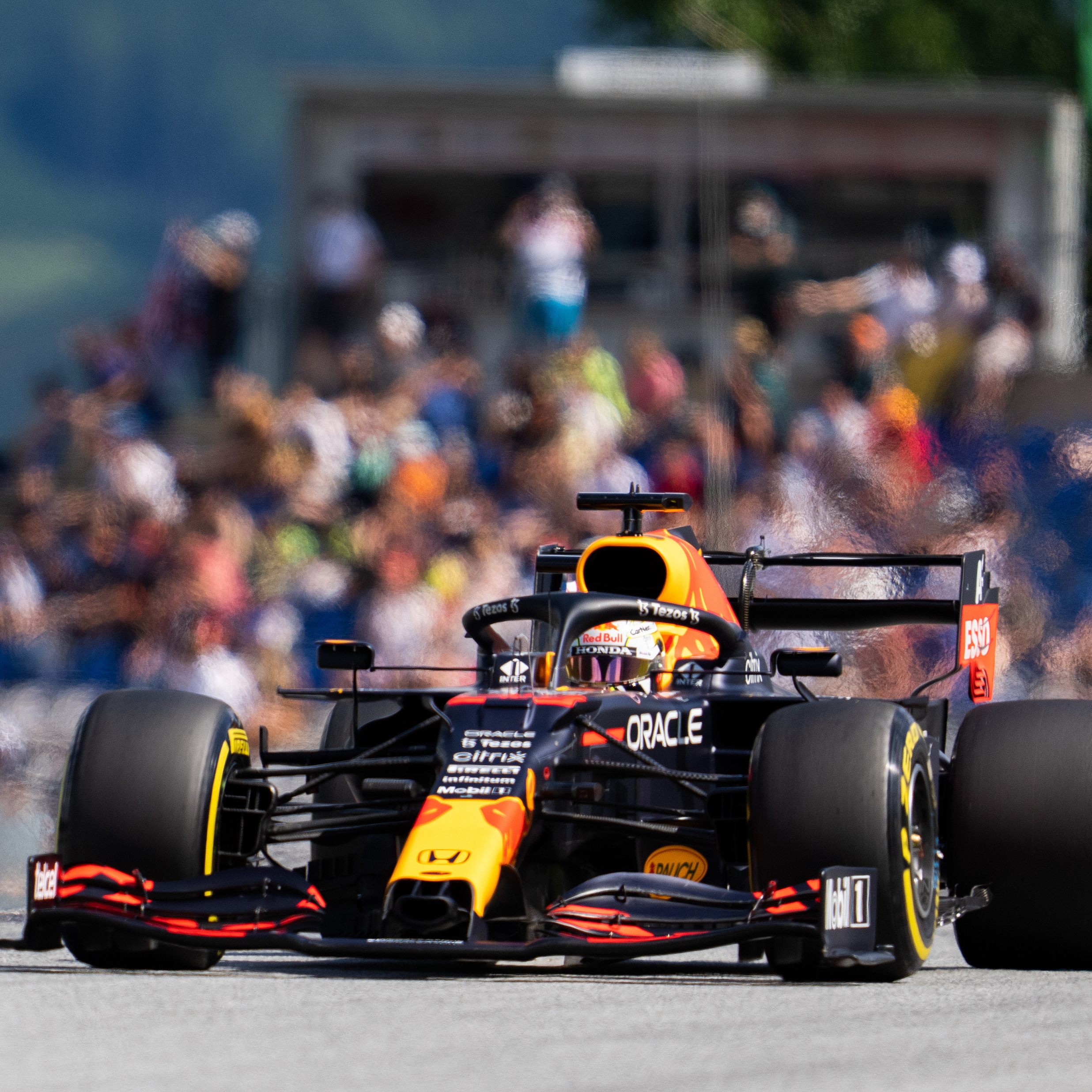 Momentan der schnellste Mann in der Formel 1: Max Verstappen.