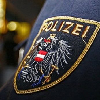 Eine Gruppe aggressiver junger Erwachsener attackierte und verletzte die Wiener Polizisten.