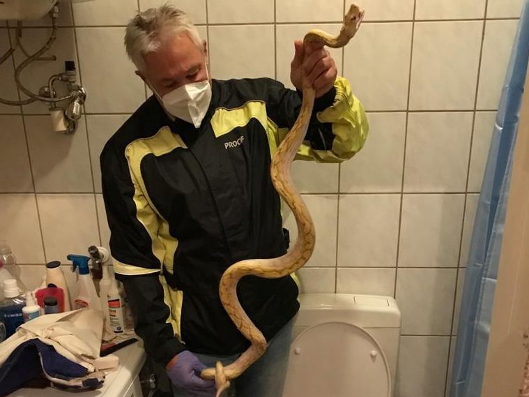 Der Grazer verspürte den Biss lediglich als Zwicken. Der Grazer verspürte den Biss lediglich als Zwicken.