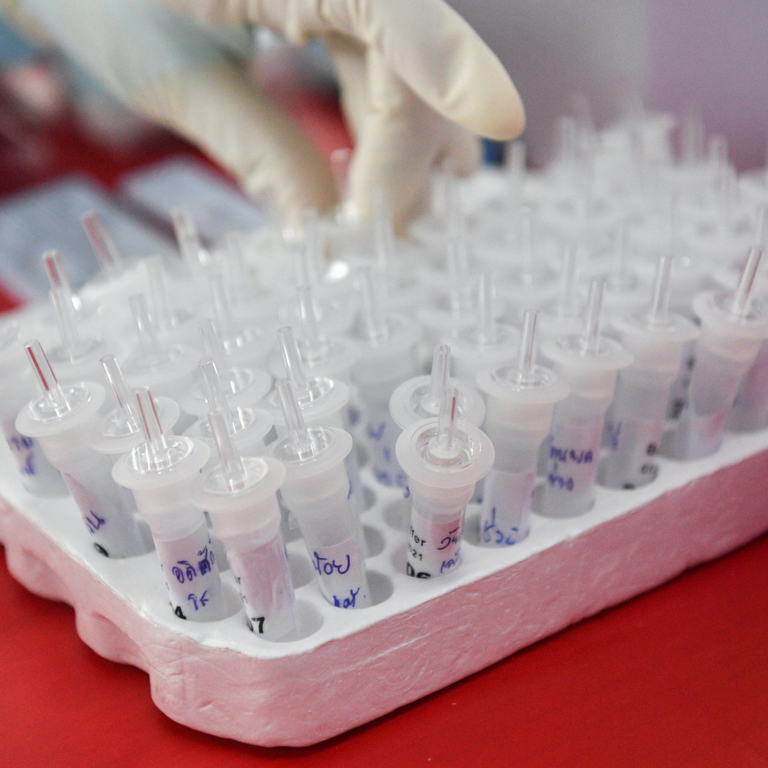 Die aktuellen Corona-Zahlen für Vorarlberg.