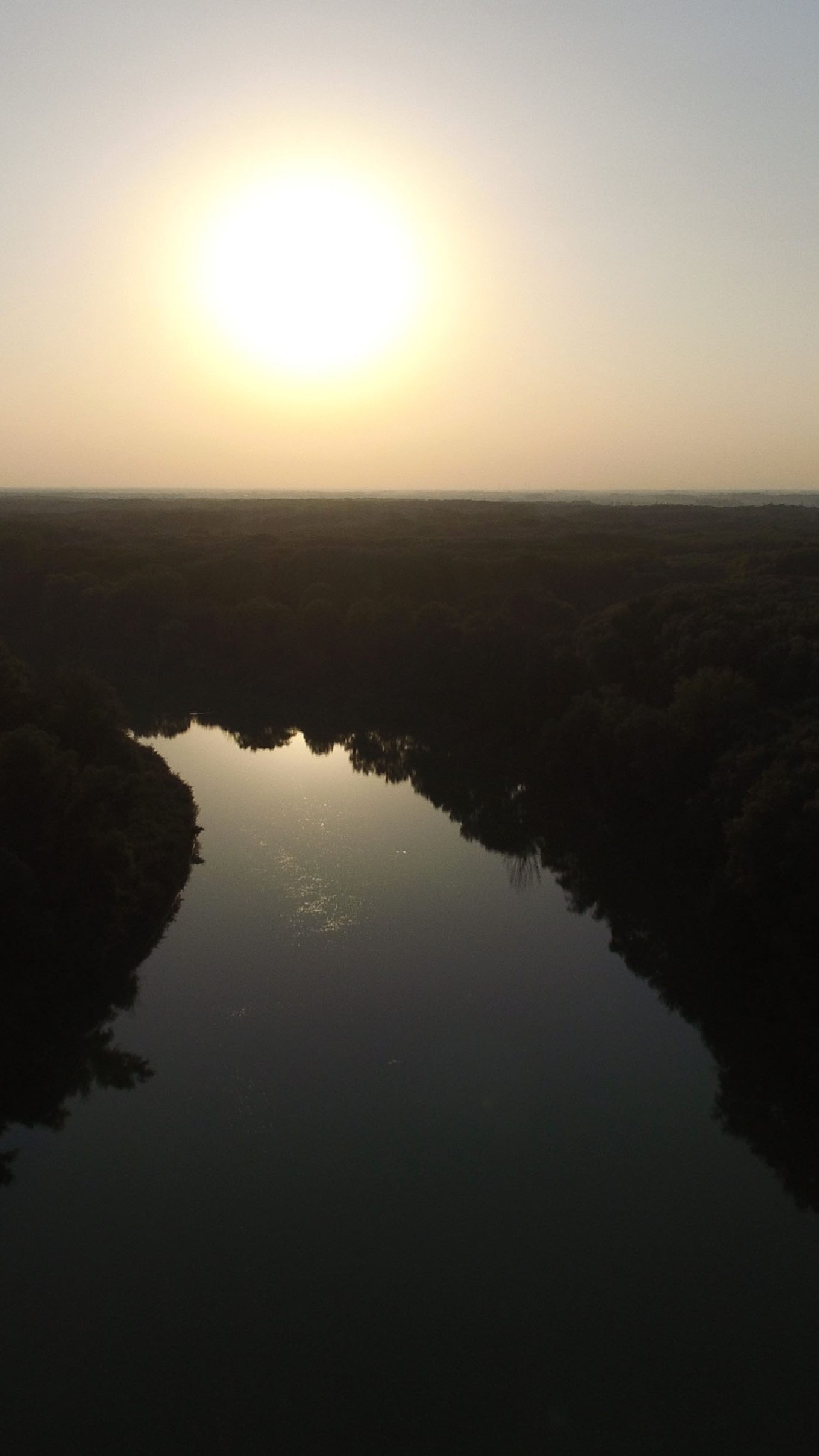 Sumpfschildkröten sind in den Donau Auen zu Hause.