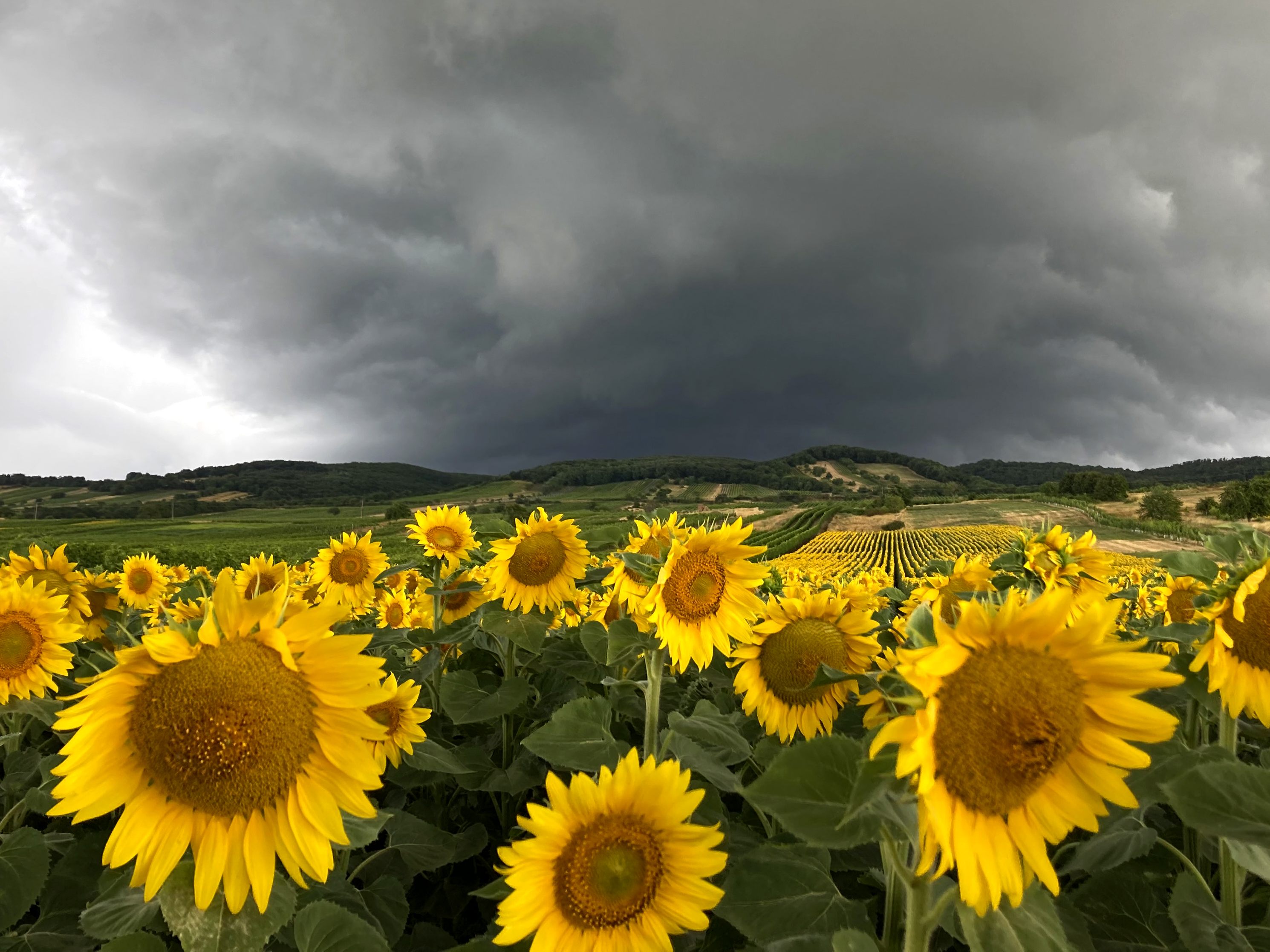 So wird das Wetter am Wochenende.