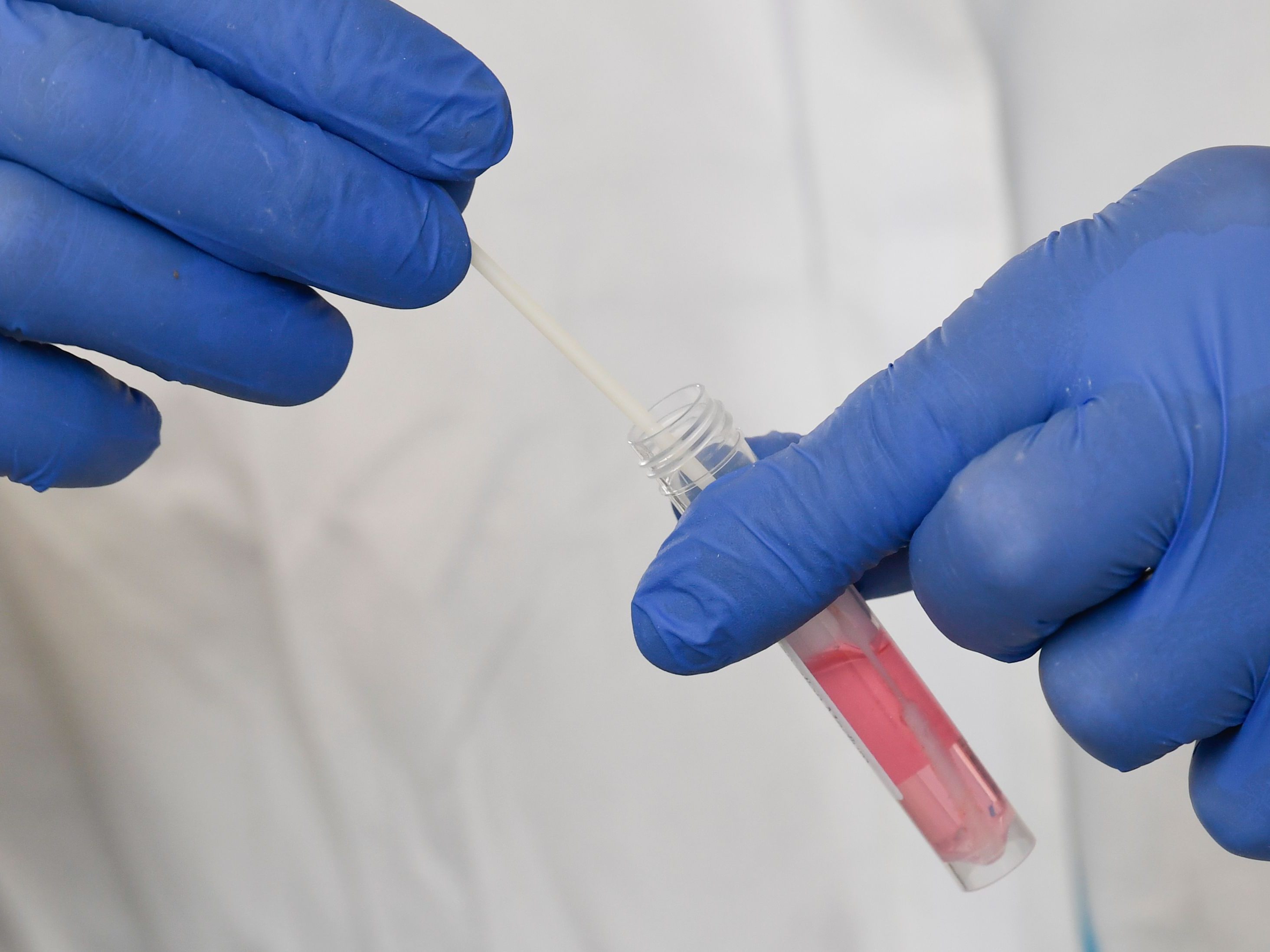 Corona in NÖ: Gesamtzahl der Infektionen auf 226 gestiegen. Corona in NÖ: Gesamtzahl der Infektionen auf 226 gestiegen.