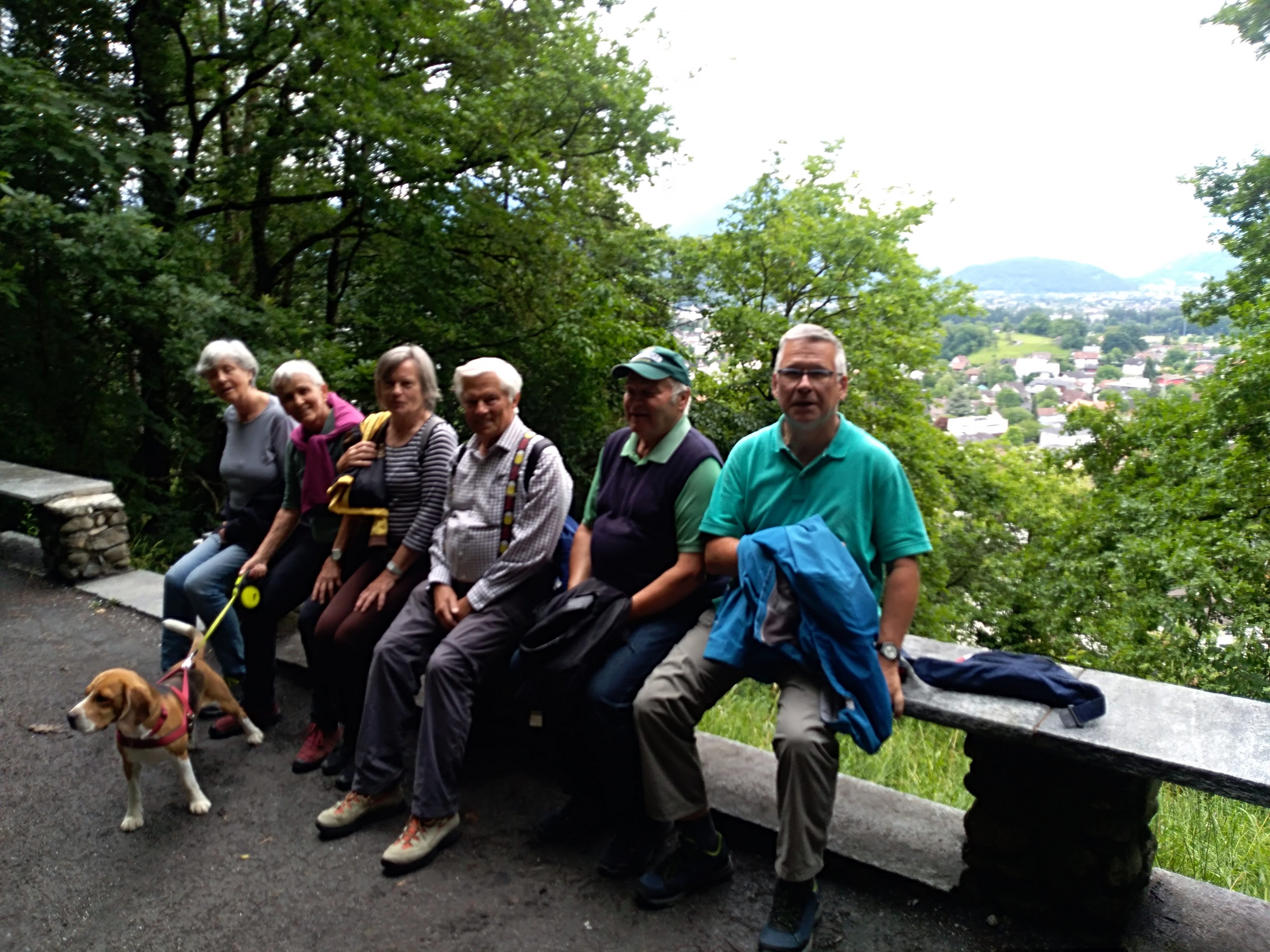 Wanderung durch den Koblachwald