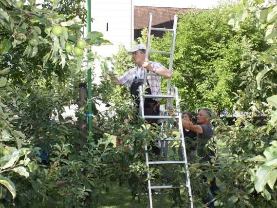 Sommerschnittkurs