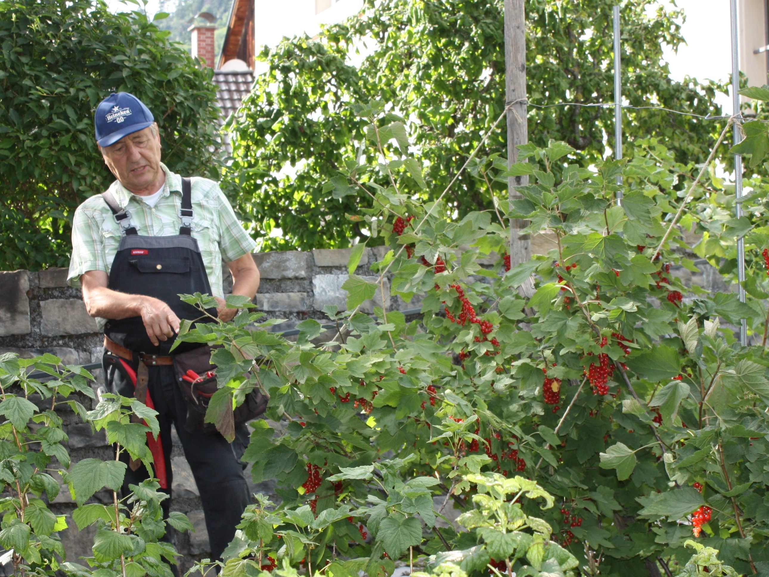 Sommerschnittkurs