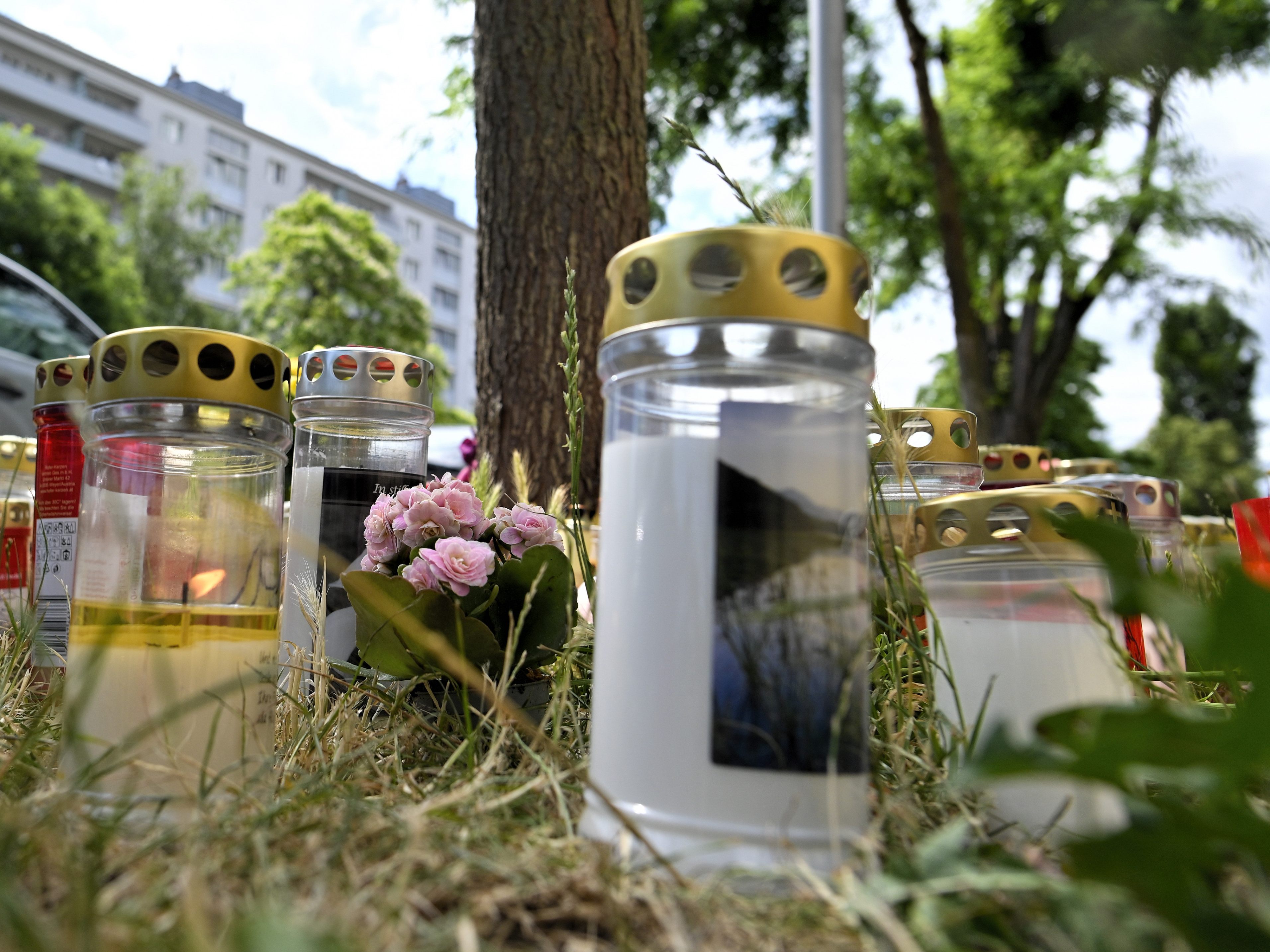 Mehrere Medien zitierten am Dienstagabend aus dem Ermittlungsakt zu dem Fall, Drei Verdächtige im Alter von 16, 18 und 23 befinden sich in Untersuchungshaft.