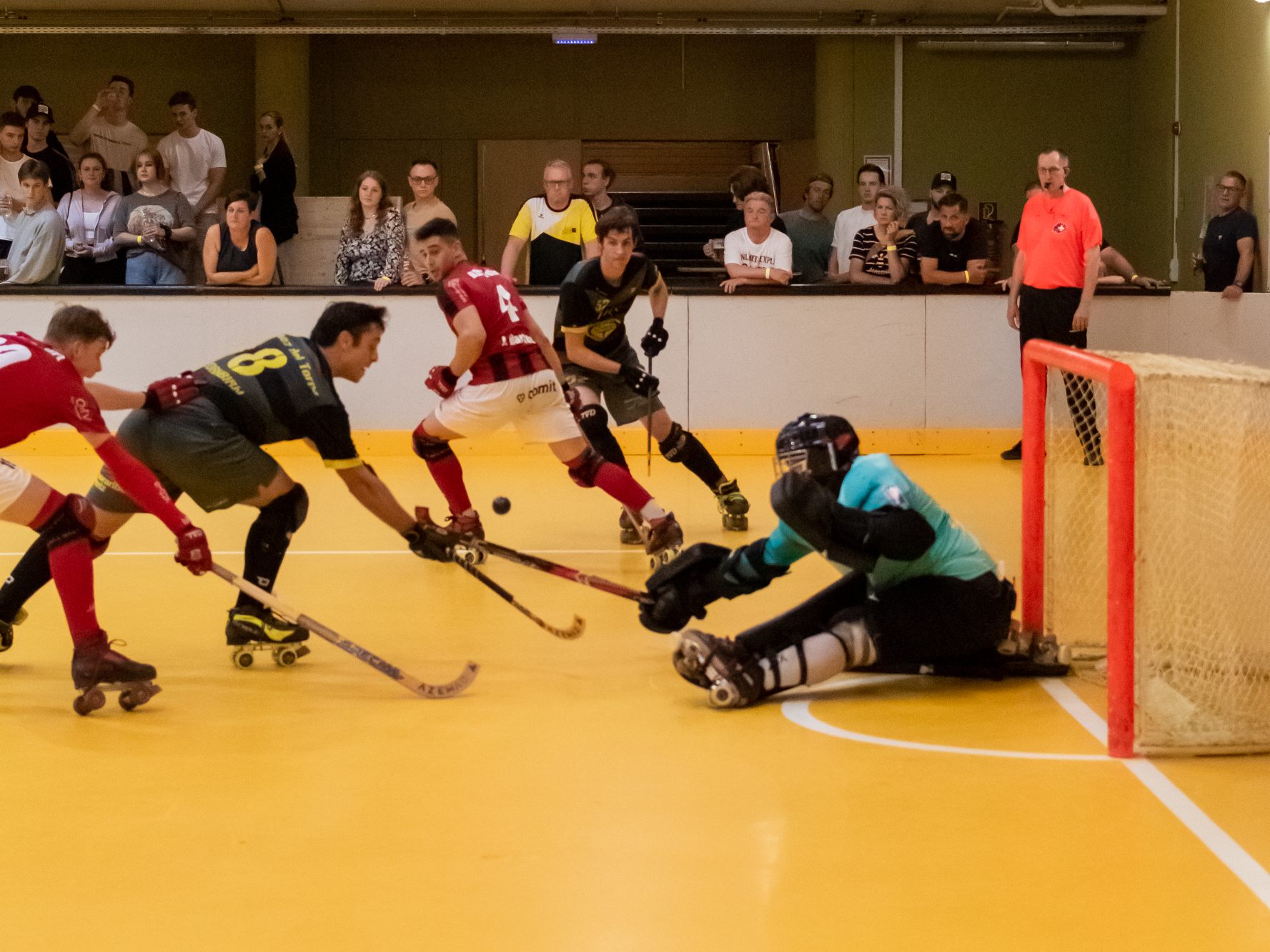Der RHC Dornbirn musste sich im Entscheidungsspiel gegen Wolfurt dann doch klar geschlagen geben. Der RHC Dornbirn musste sich im Entscheidungsspiel gegen Wolfurt dann doch klar geschlagen geben.