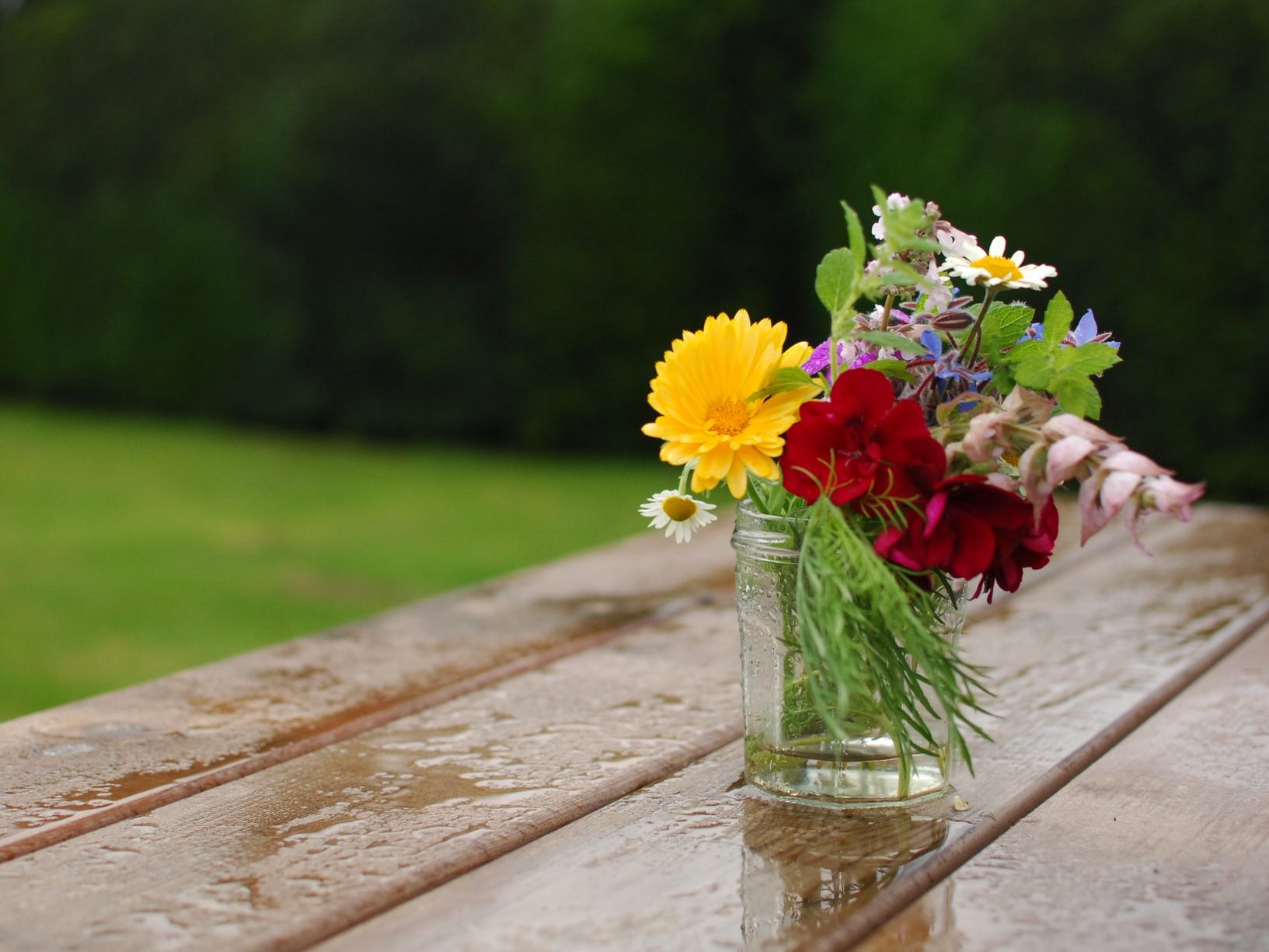 Auf sonnigen Montag folgt Regenwoche.
