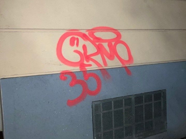 Mehrere Hausmauern wurden von dem 18-Jährigen verunstaltet. Mehrere Hausmauern wurden von dem 18-Jährigen verunstaltet.