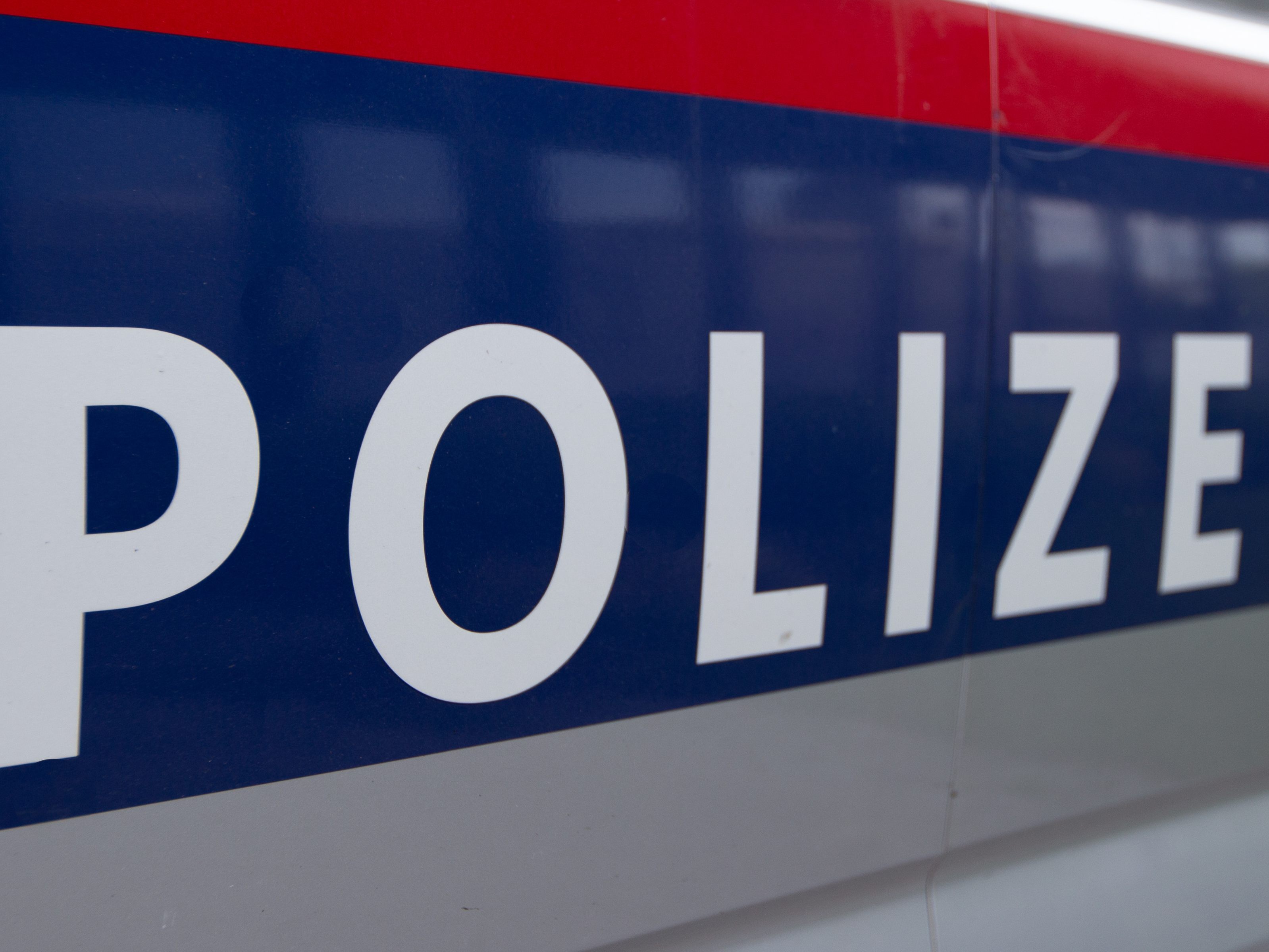 Für drei Polen klickten in Wien-Simmering vorläufig die Handschellen. Für drei Polen klickten in Wien-Simmering vorläufig die Handschellen.