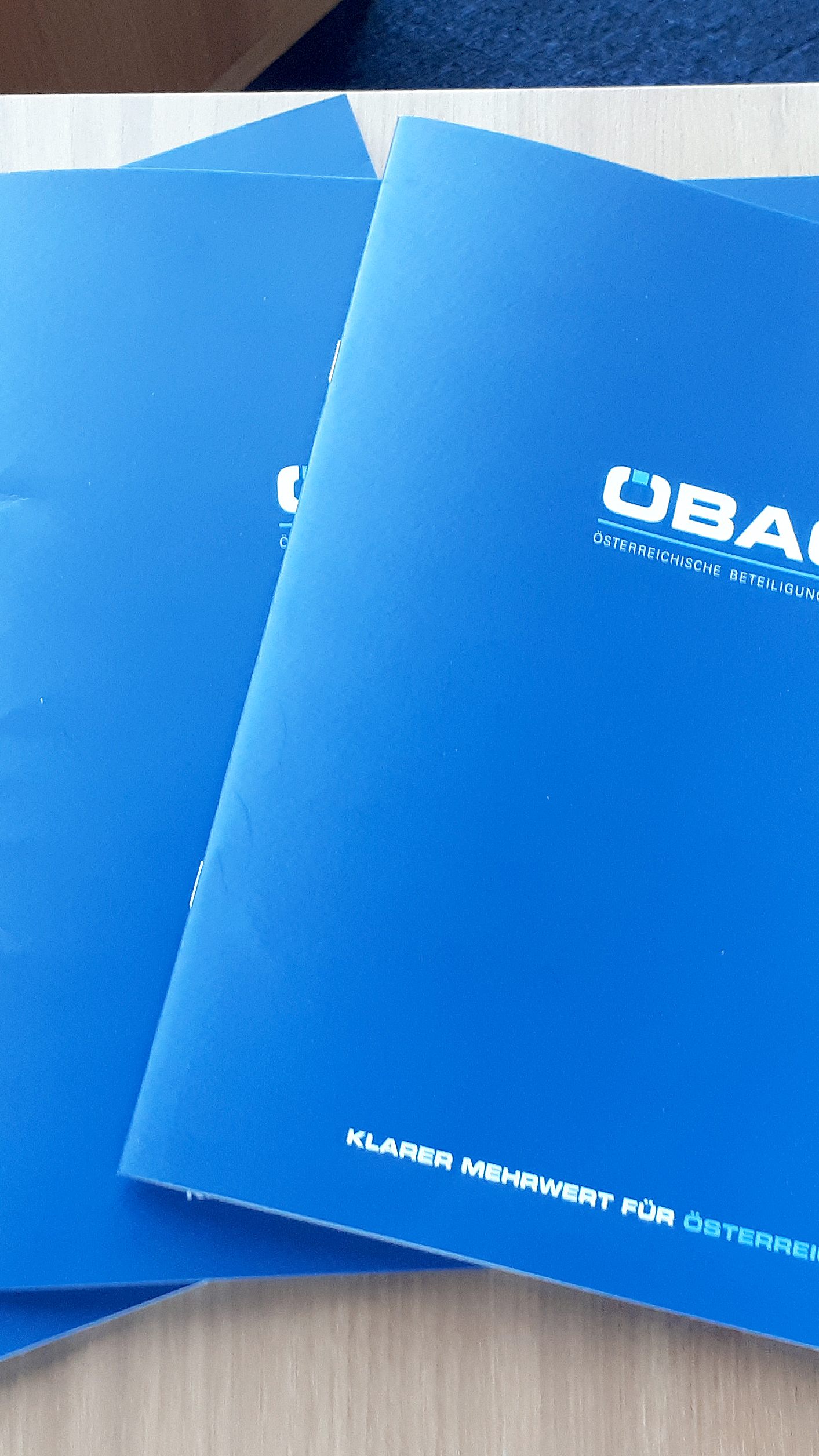 Am Freitag wird einer von 120 Bewerbern zum ÖBAG-Chef gekürt