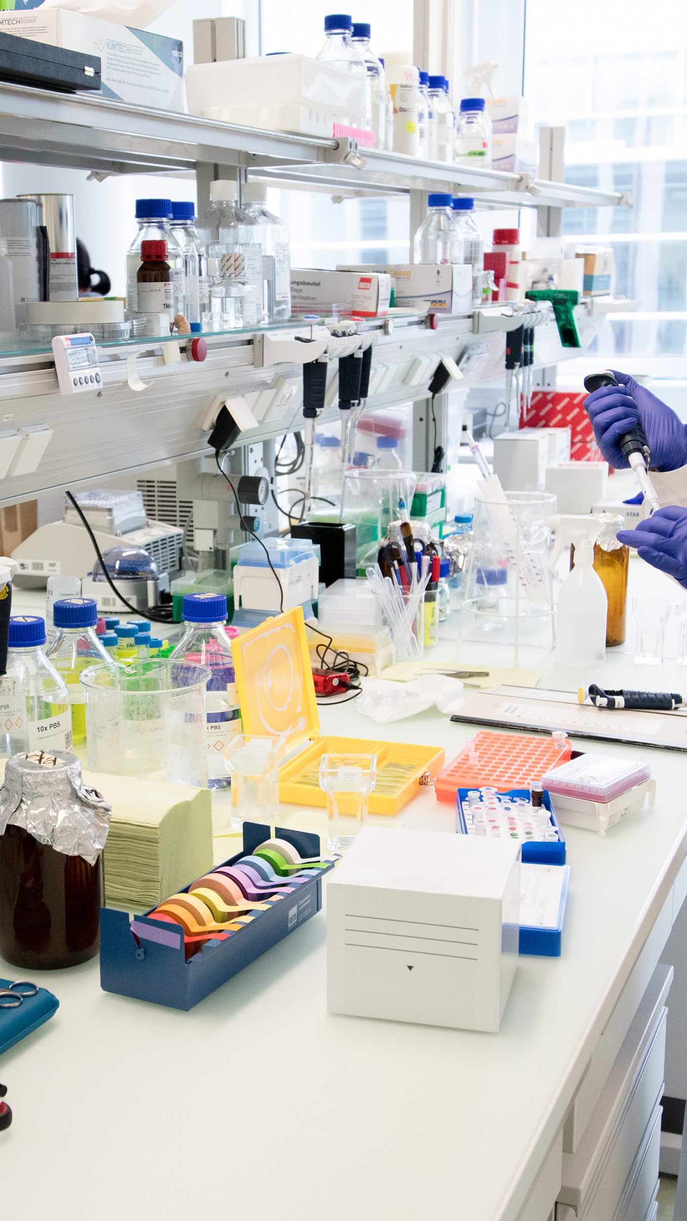 Positionspapier der Pathologie-Fachgesellschaft veröffentlicht.