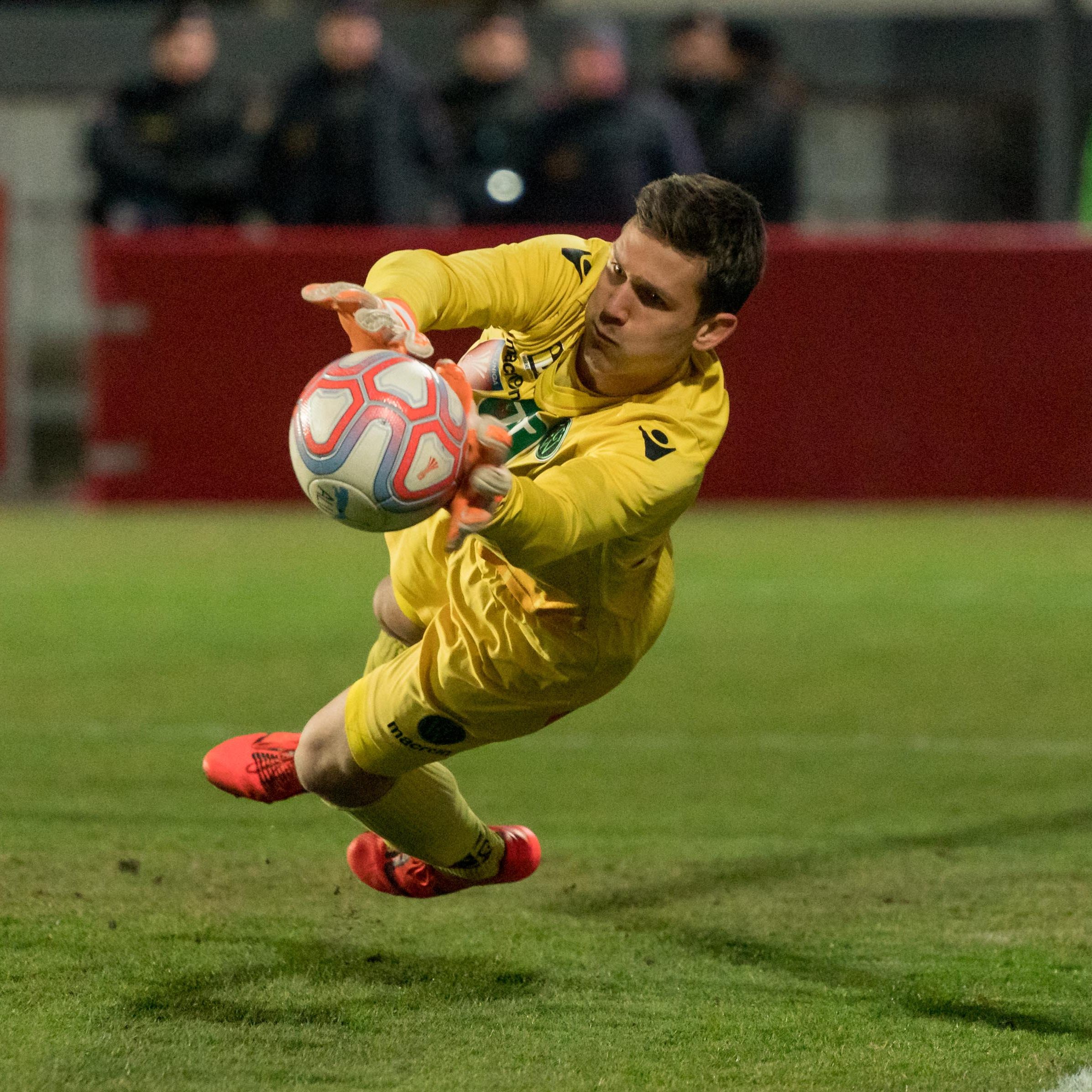 Austria holte Torhüter Wedl von Wacker Innsbruck.