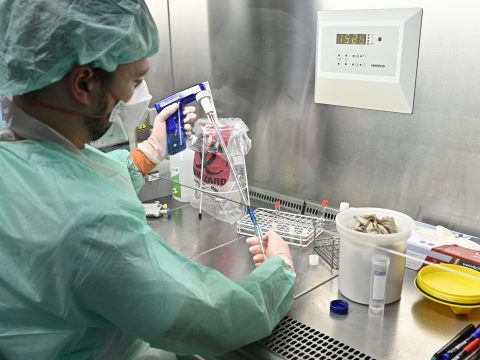 Neue Coronavirus-Variante C.1.2. beschäftigt Wissenschafter in Südafrika Neue Coronavirus-Variante C.1.2. beschäftigt Wissenschafter in Südafrika