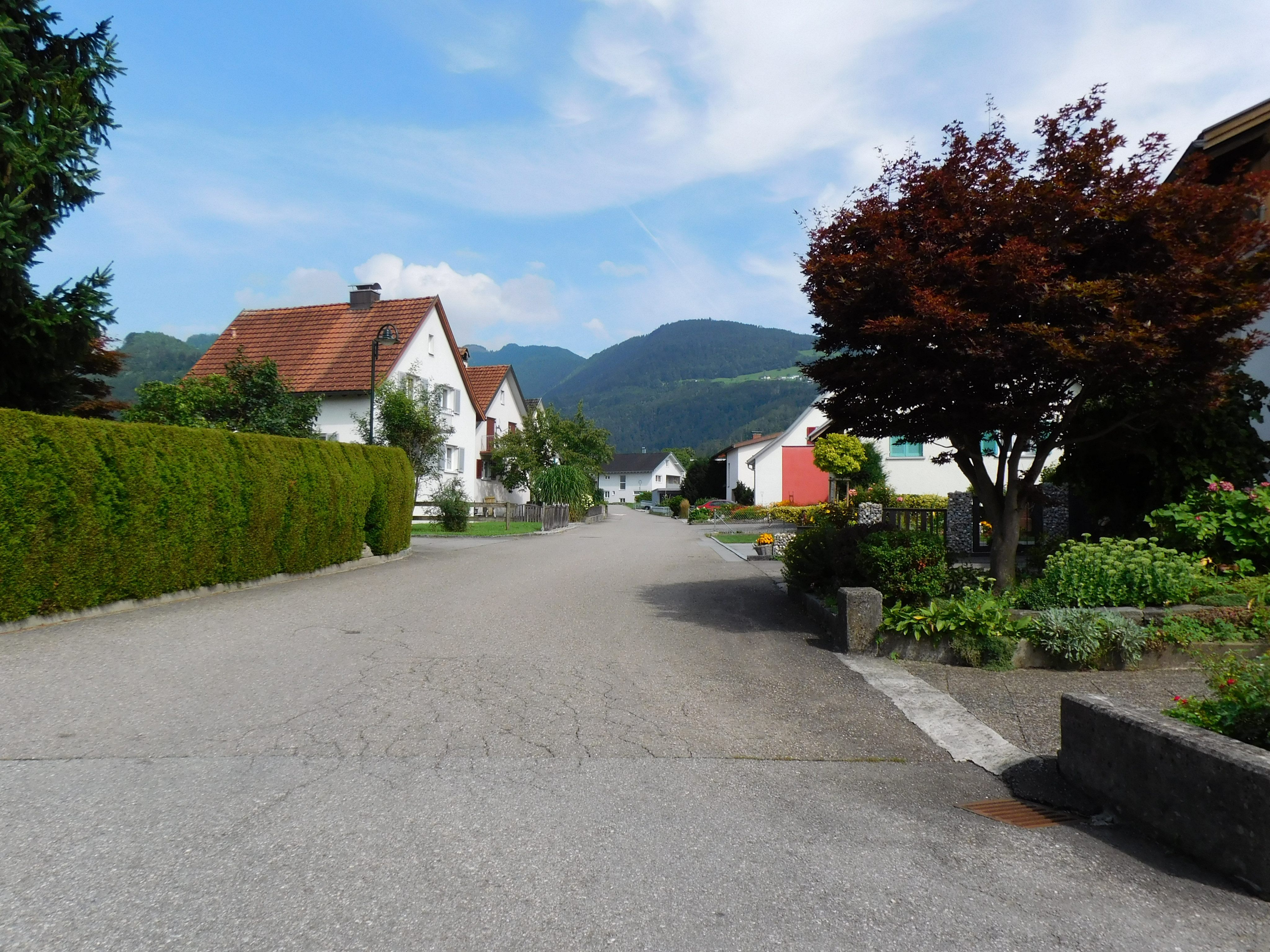 Der Straßenbelag im Hohenbaum muss dringend saniert werden