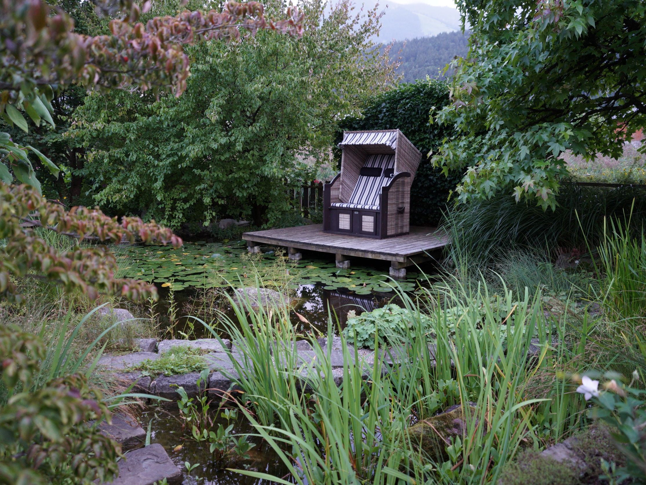 Teich bei Fam. Schmid