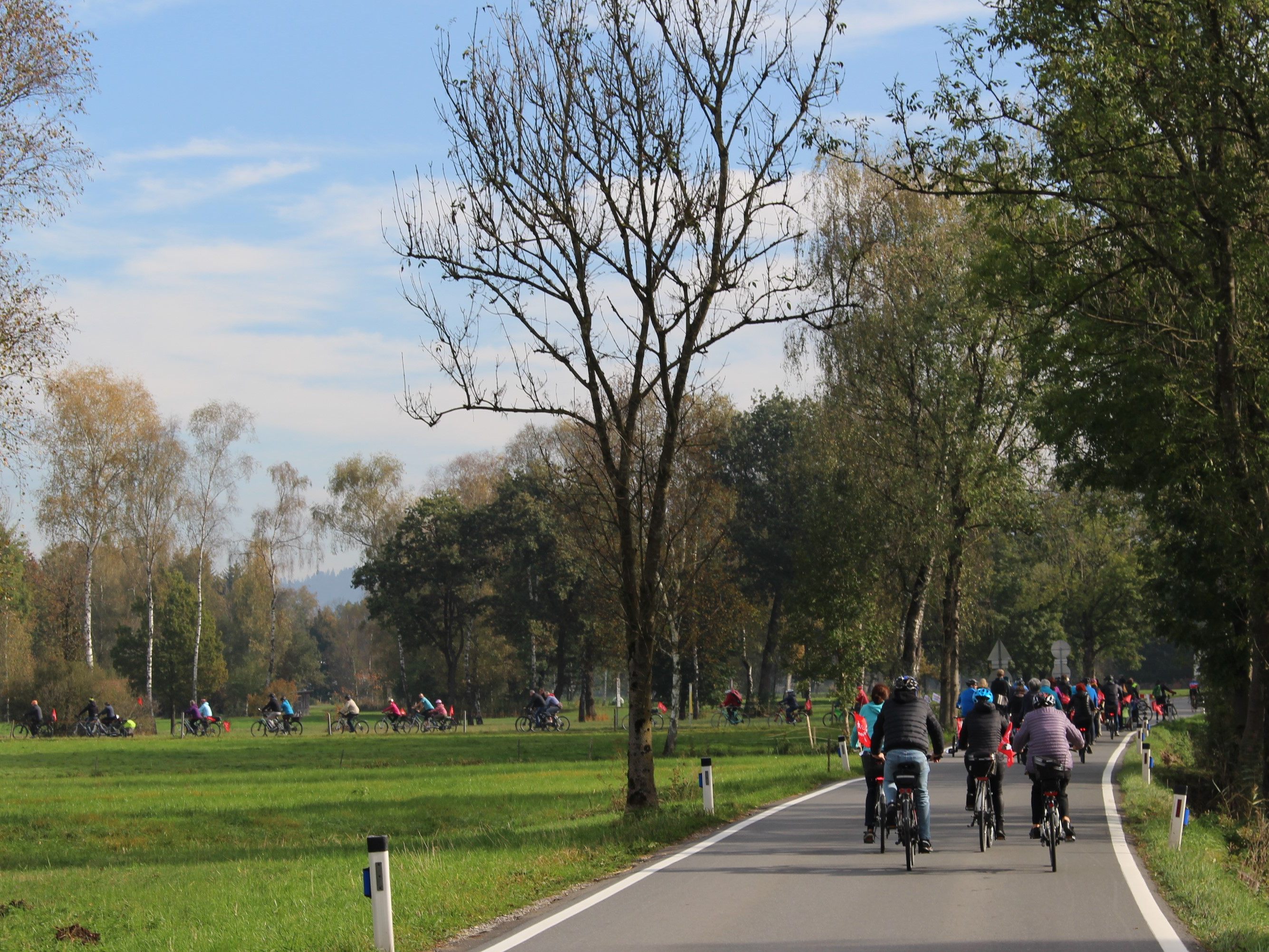 Radfahren im Ried