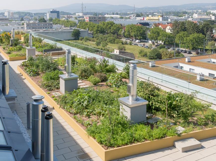 Urban-Gardening ist in Wien bereits anzutreffen.