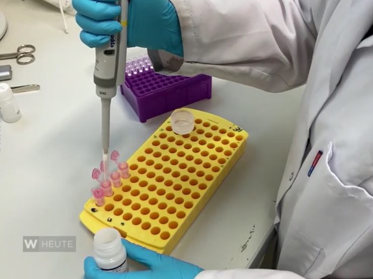 Die Abwasser-Analysen sollen bei der Deckelung der Infektionszahlen in Wien helfen. Die Abwasser-Analysen sollen bei der Deckelung der Infektionszahlen in Wien helfen.