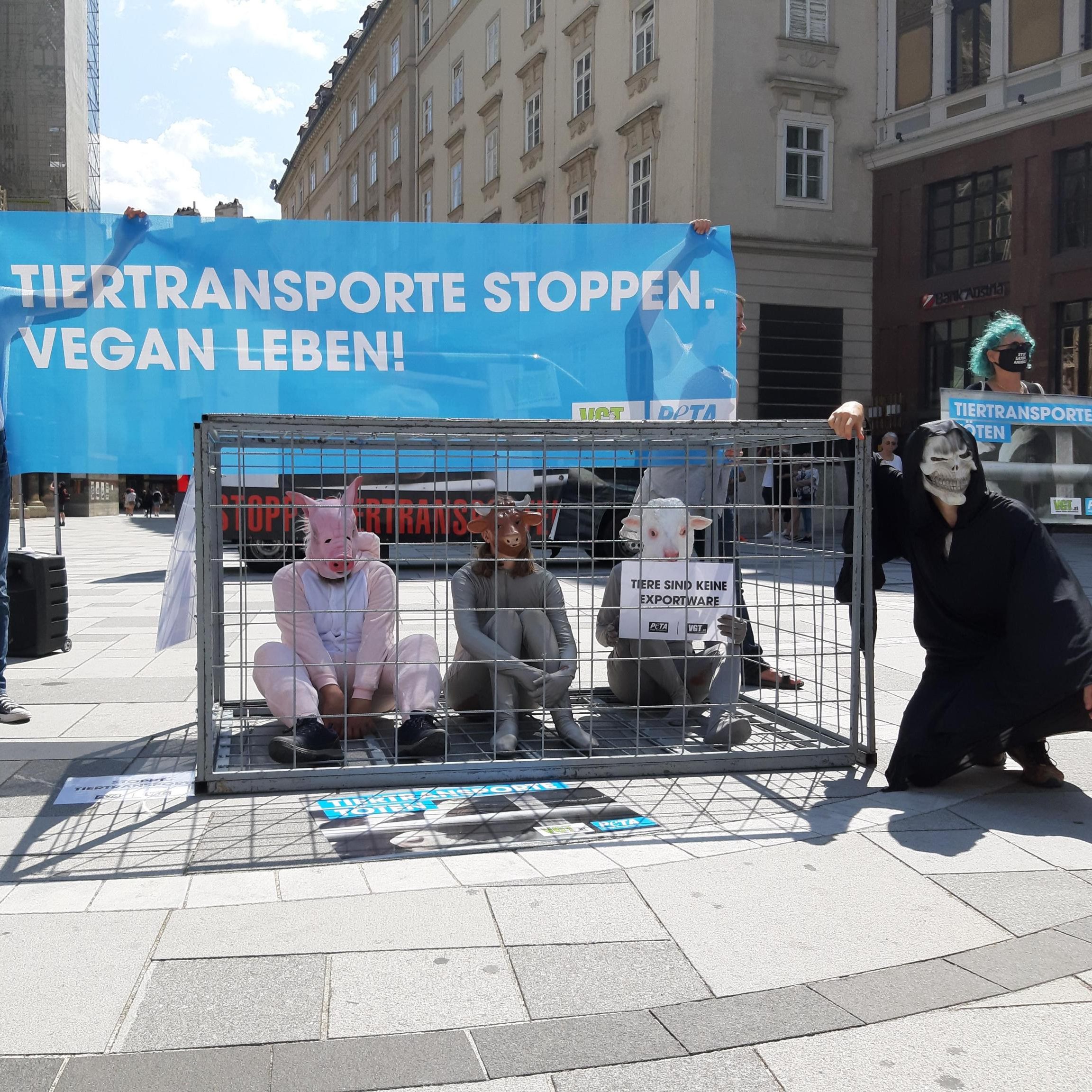 Der VGT machte mit einer Aktion am Stephansplatz auf Tierleid aufmerksam.