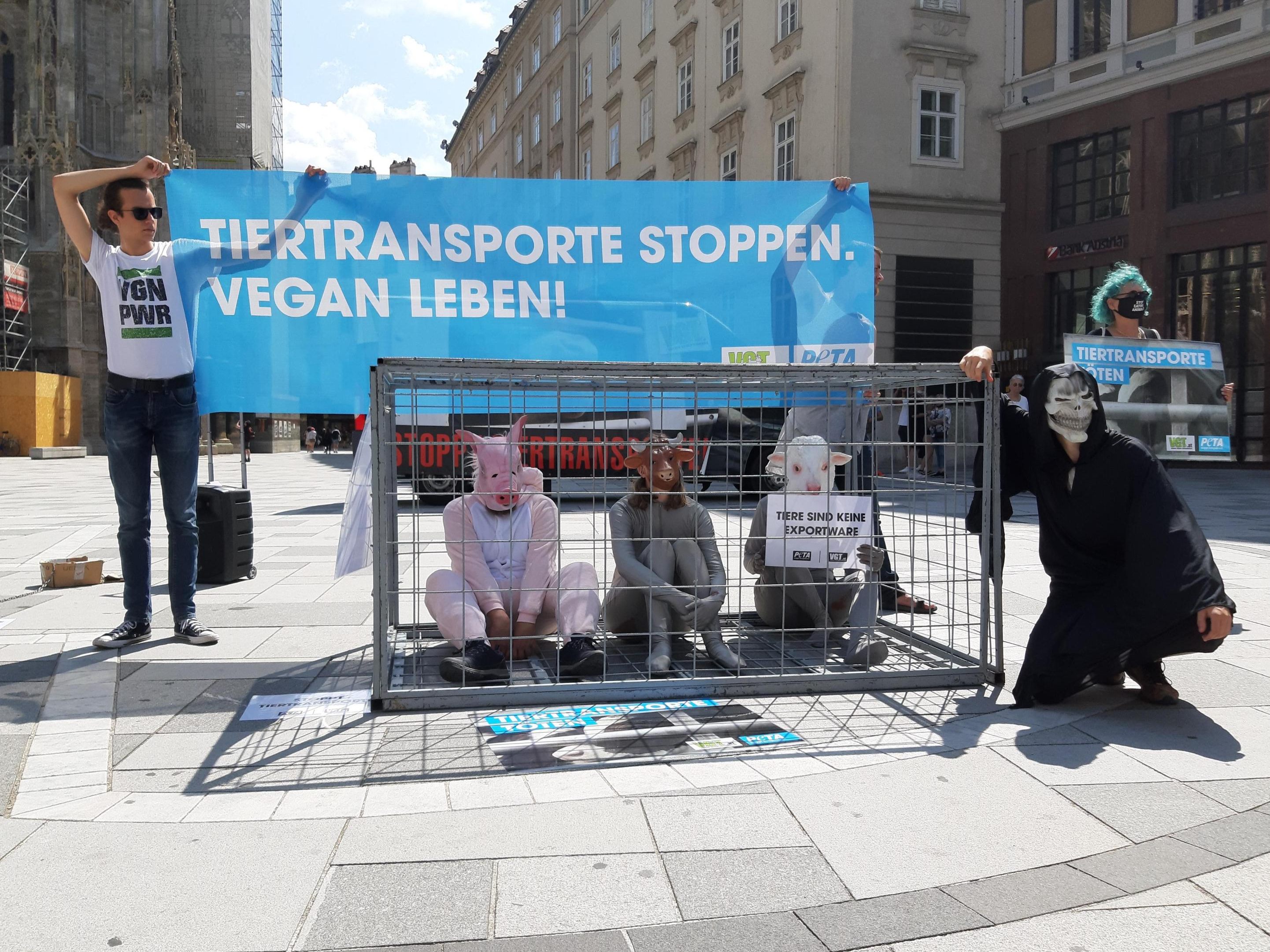 Der VGT machte mit einer Aktion am Stephansplatz auf Tierleid aufmerksam. Der VGT machte mit einer Aktion am Stephansplatz auf Tierleid aufmerksam.