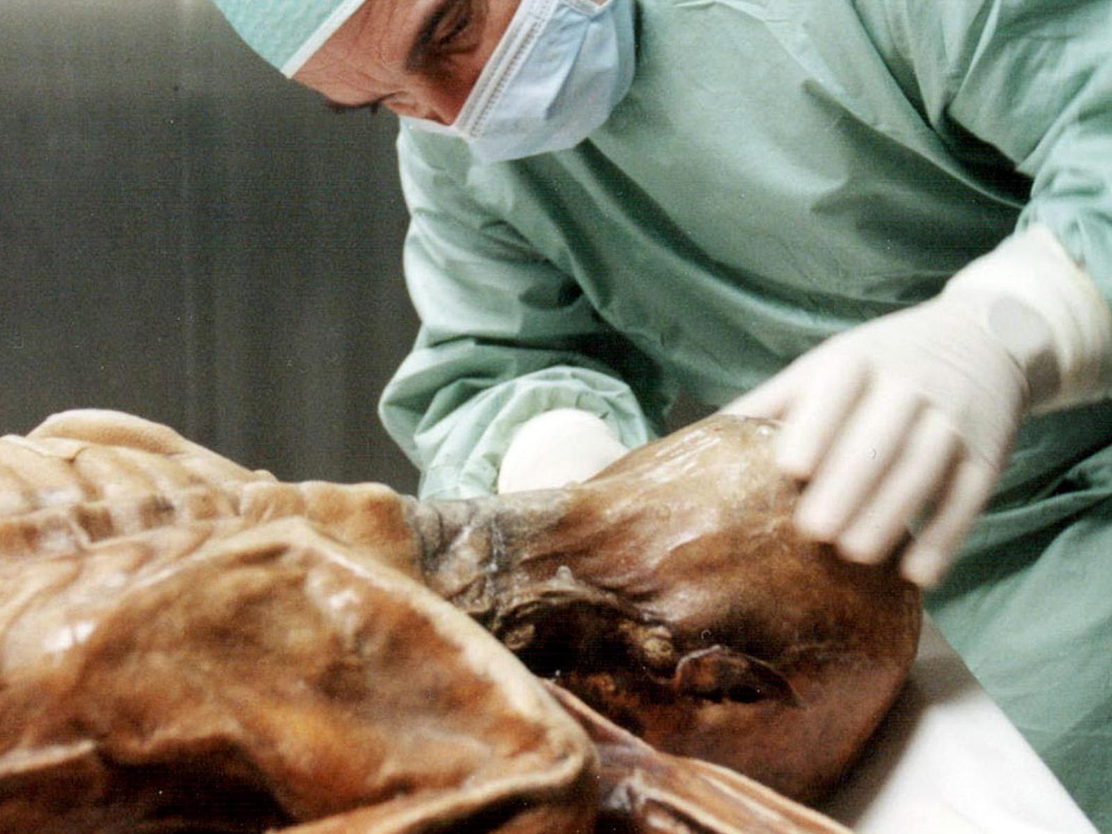Wissenschaftliche Sensation: noch längst nicht ausgeforscht. Wissenschaftliche Sensation: noch längst nicht ausgeforscht.