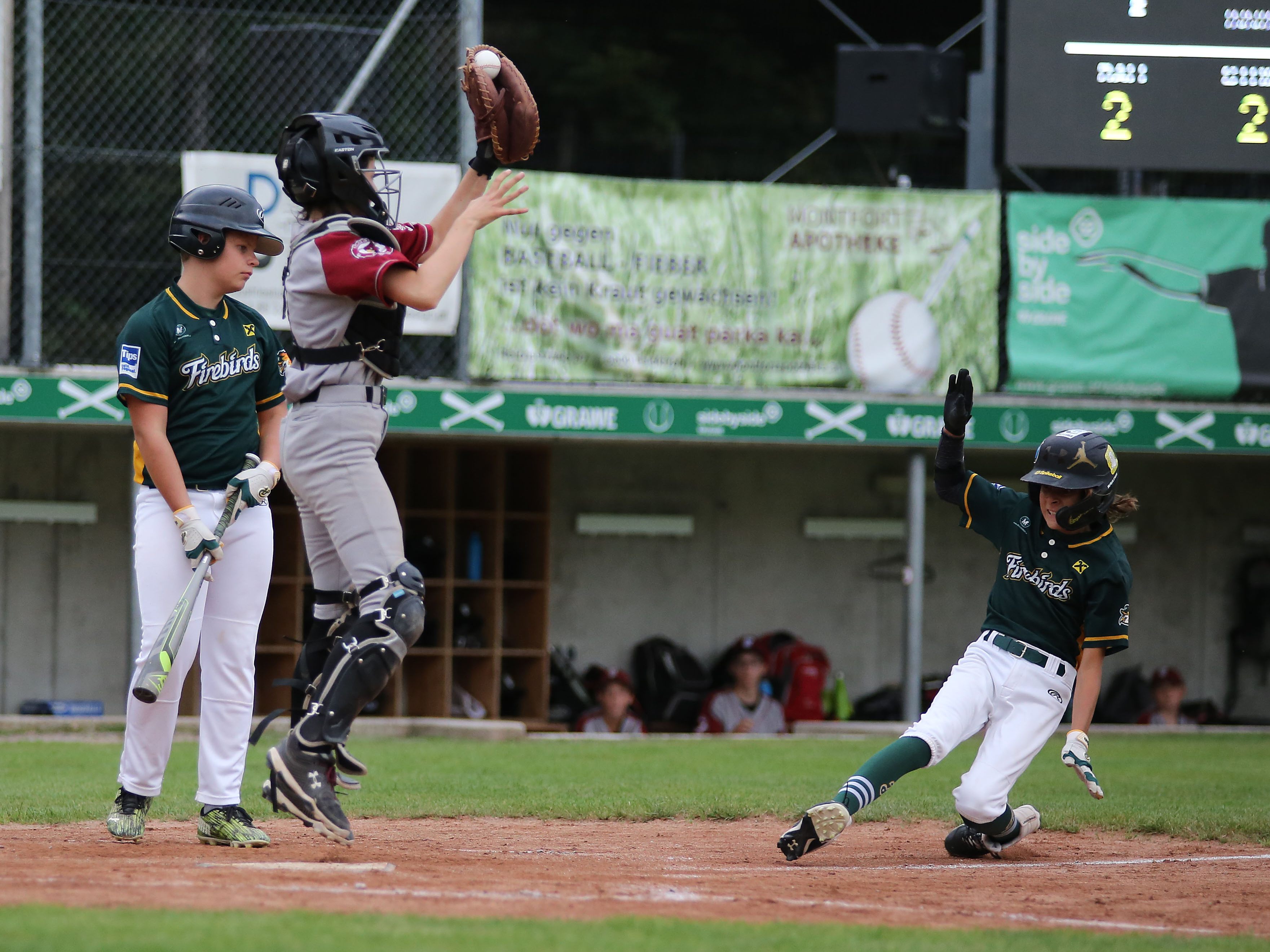 Cardinals vs Firebirds