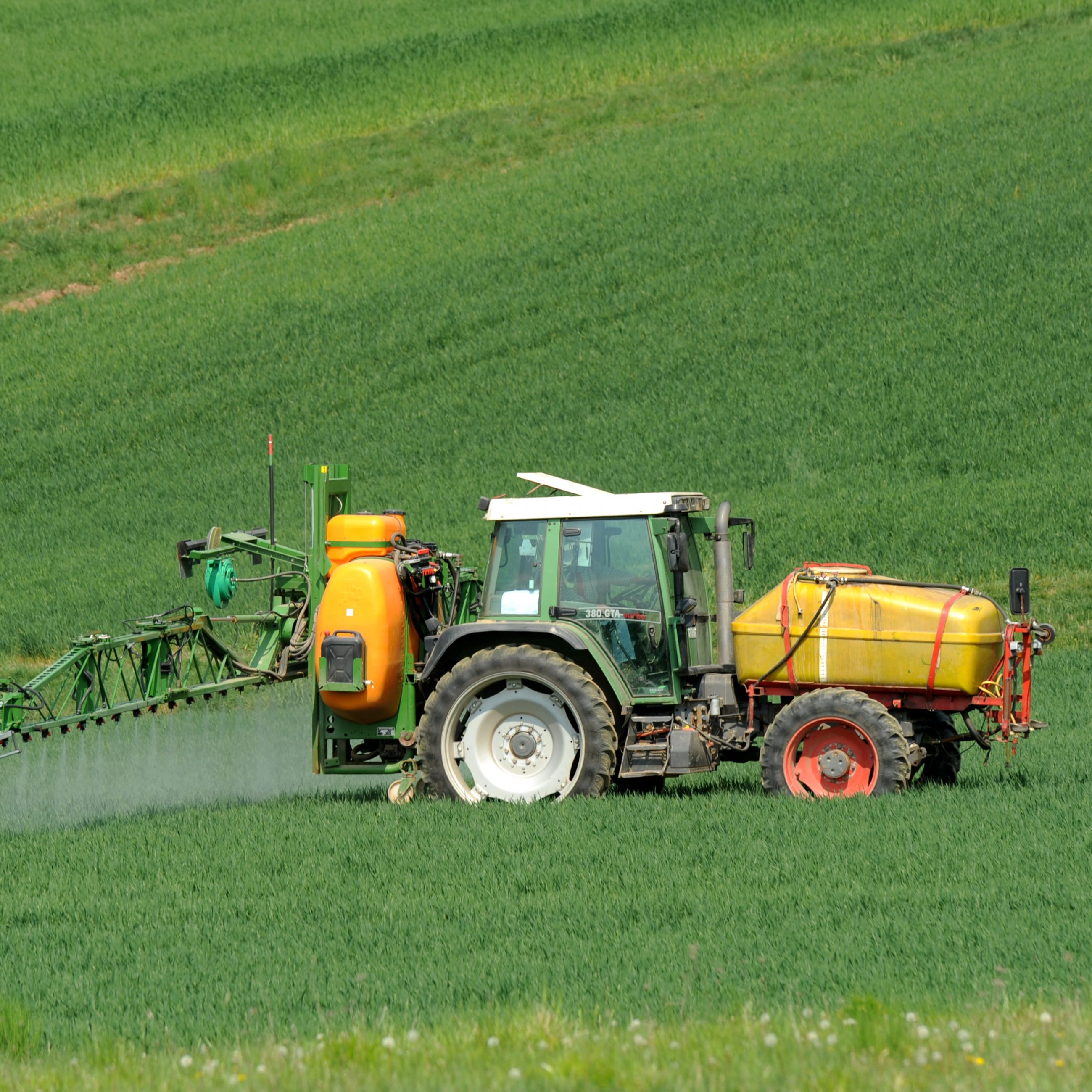 Eine Untersuchung hat sich mit Pestiziden auseinandergesetzt.