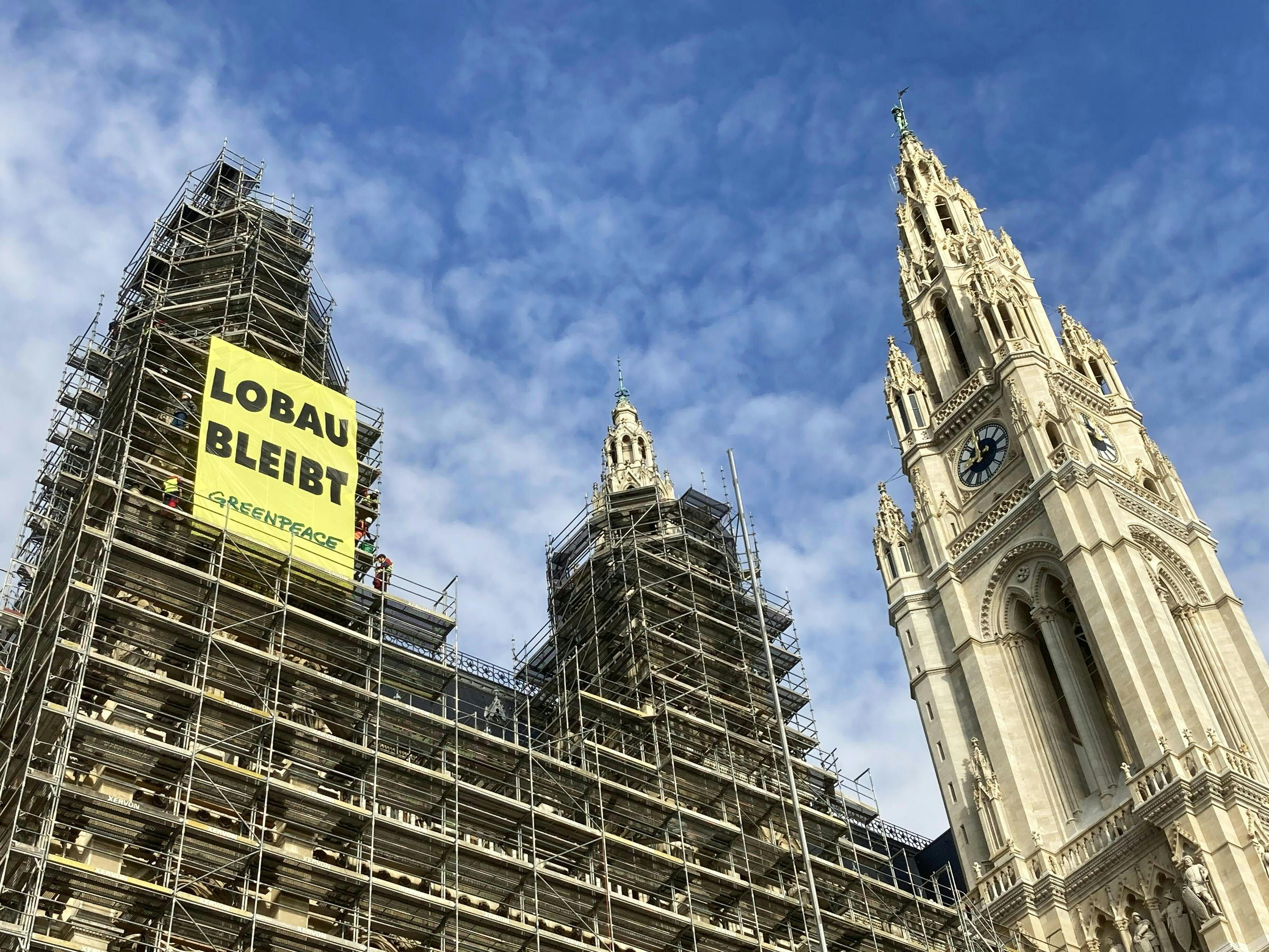 Seit Freitag besetzen Greenpeace-Aktivisten das Büro von Michael Ludwig und den Westturm im Wiener Rathaus. Seit Freitag besetzen Greenpeace-Aktivisten das Büro von Michael Ludwig und den Westturm im Wiener Rathaus.