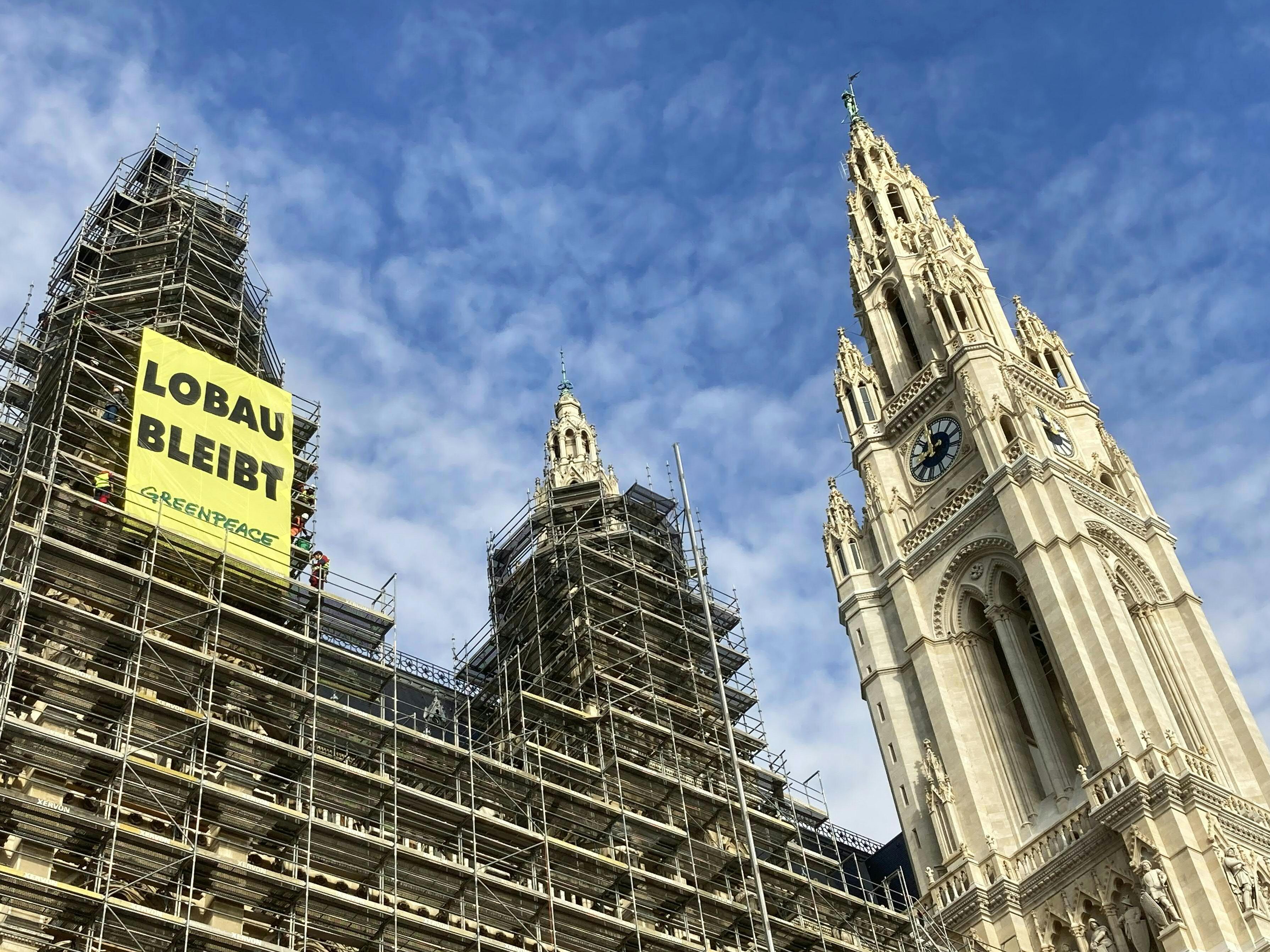 Das Rathaus in Wien als Schauplatz einer Greenpeace-Aktion. Das Rathaus in Wien als Schauplatz einer Greenpeace-Aktion.