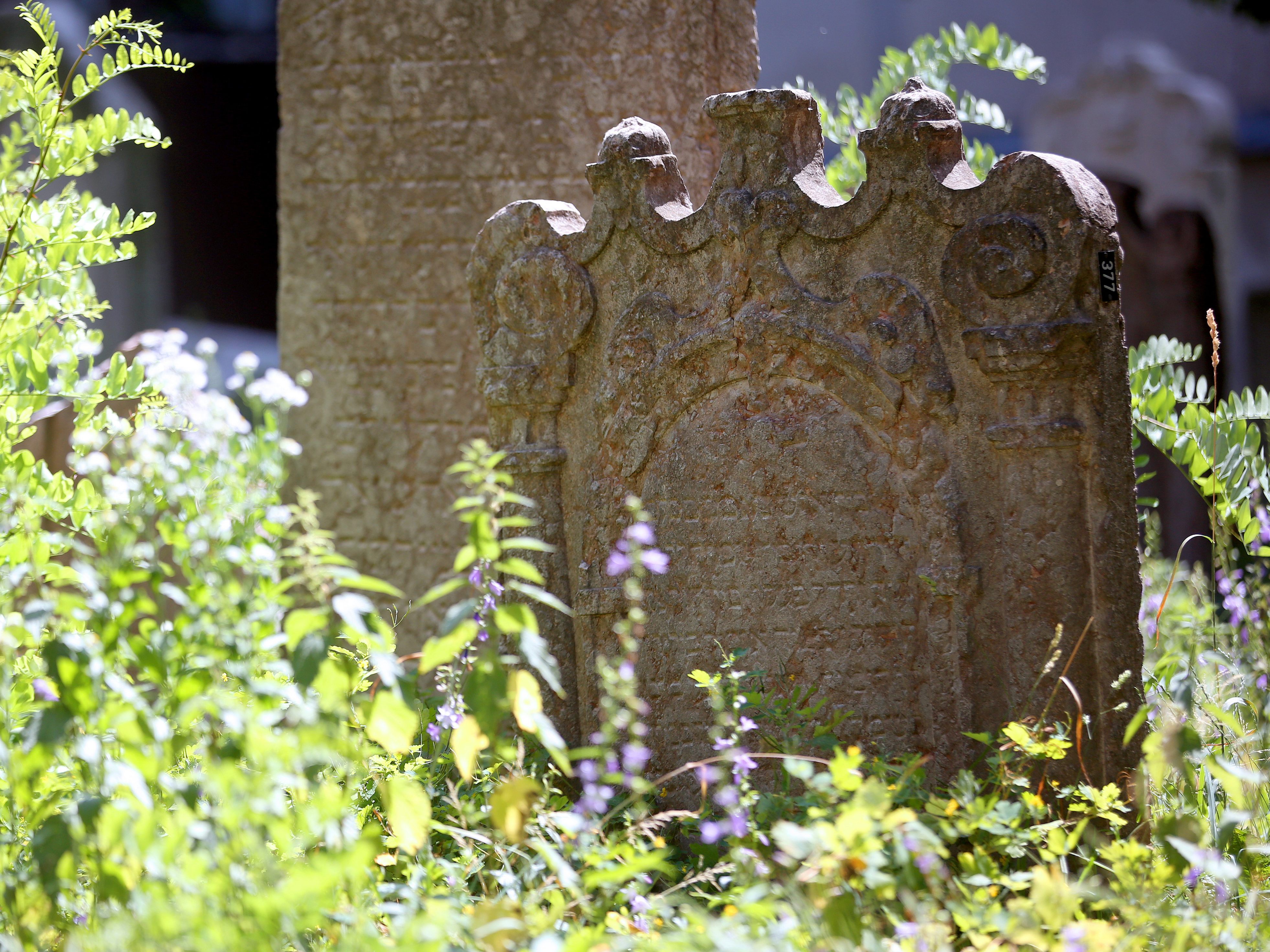 Sobotka übergab sanierte Epstein-Grabstätte am Jüdischen Friedhof. Sobotka übergab sanierte Epstein-Grabstätte am Jüdischen Friedhof.