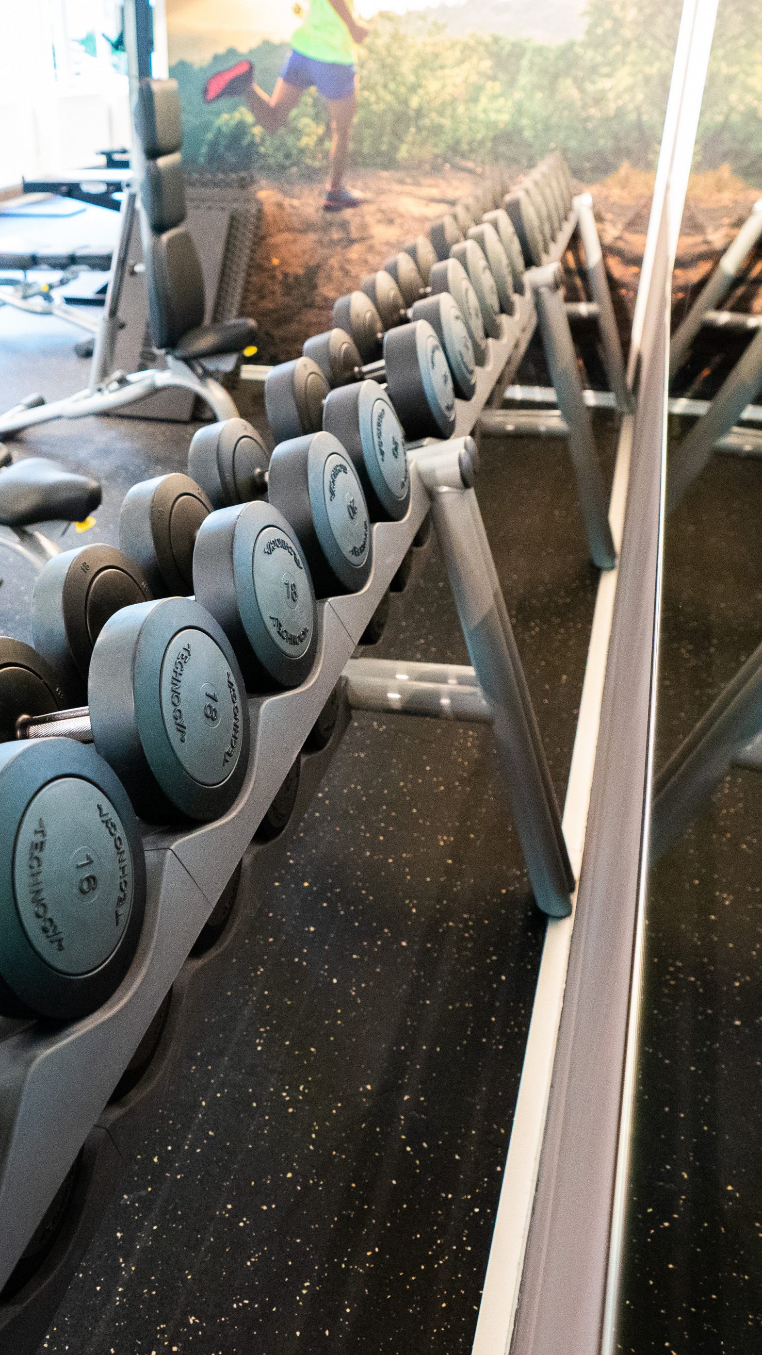 Fitnesscenter fordern Senkung der Mehrwehrtsteuer auf fünf Prozent.