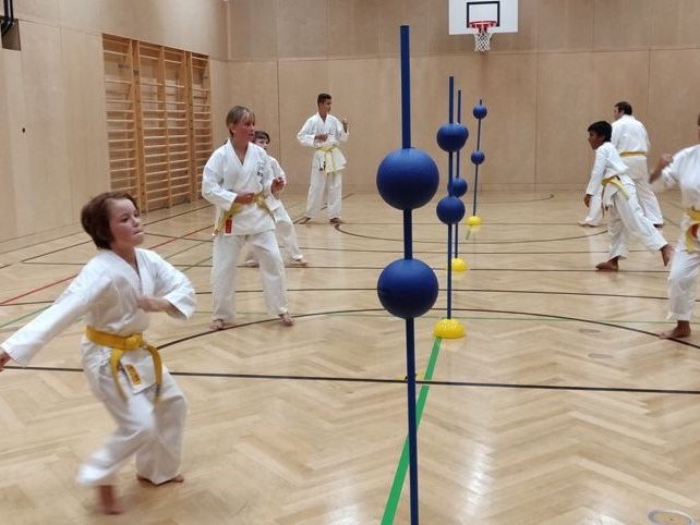 Karate-Training