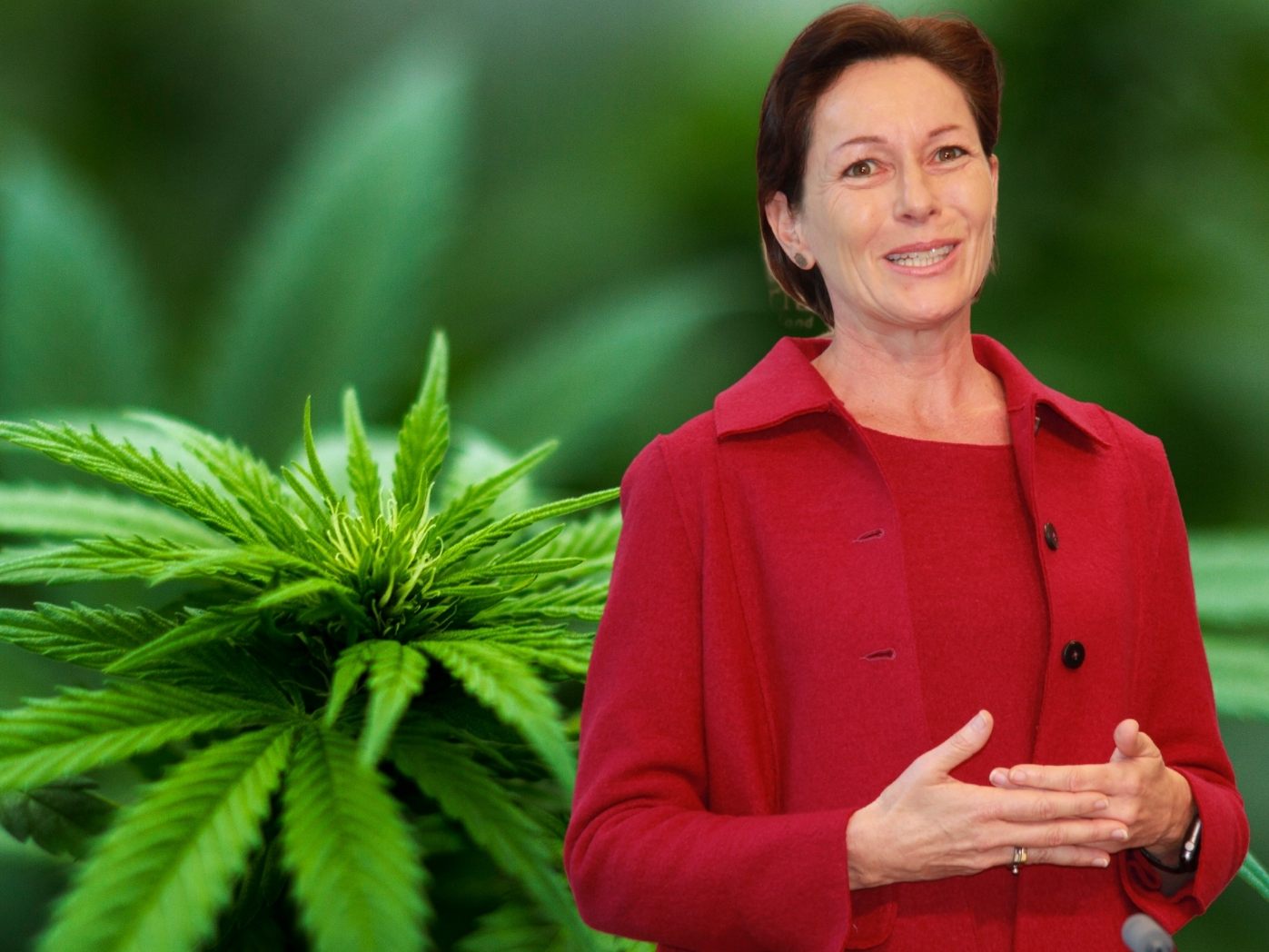 Vor allem der Konsum von Cannabis hätte während der Corona-Pandemie abgenommen.