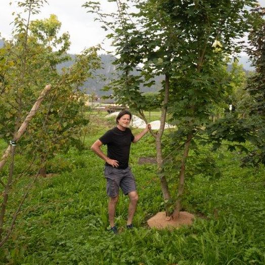 Besondere Baumformen bieten das gewisse Etwas.