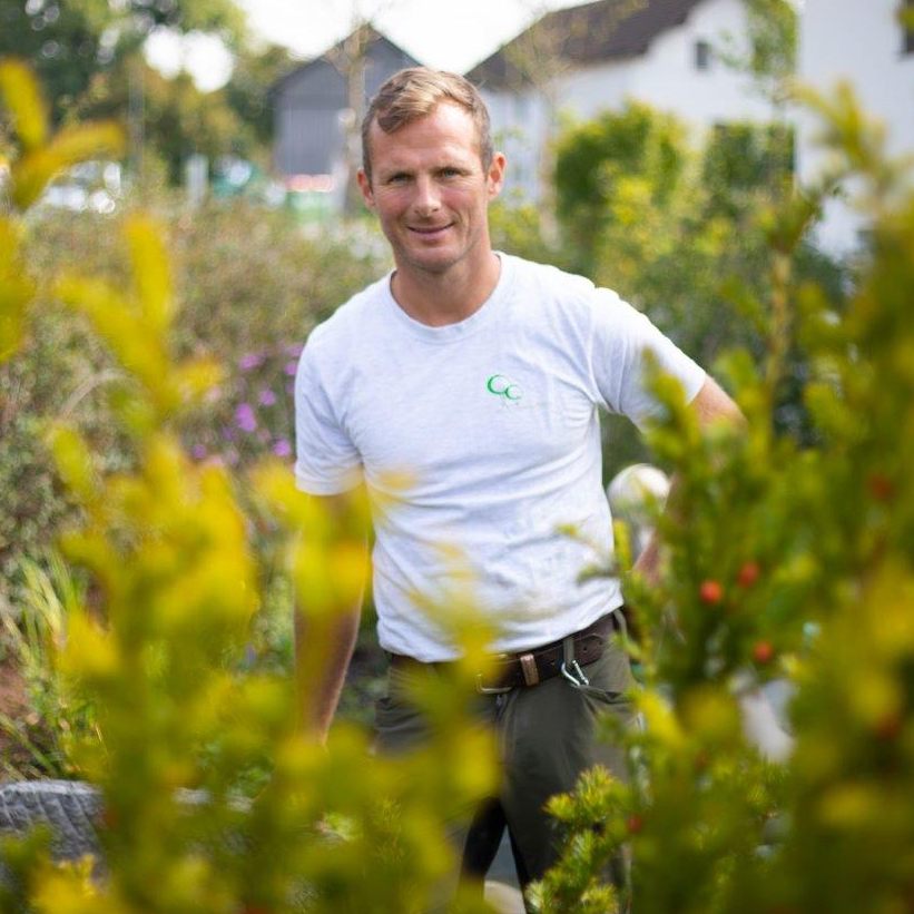 "Jeder Strauch wächst von Natur aus anders und trägt zu einer enormen Varianz an Formen bei." (Matthias Heel, Heel Gartenbau, Satteins)