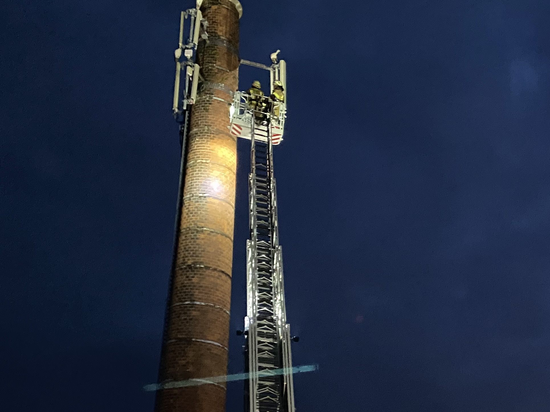 Die Feuerwehr konnte den Vogel befreien.