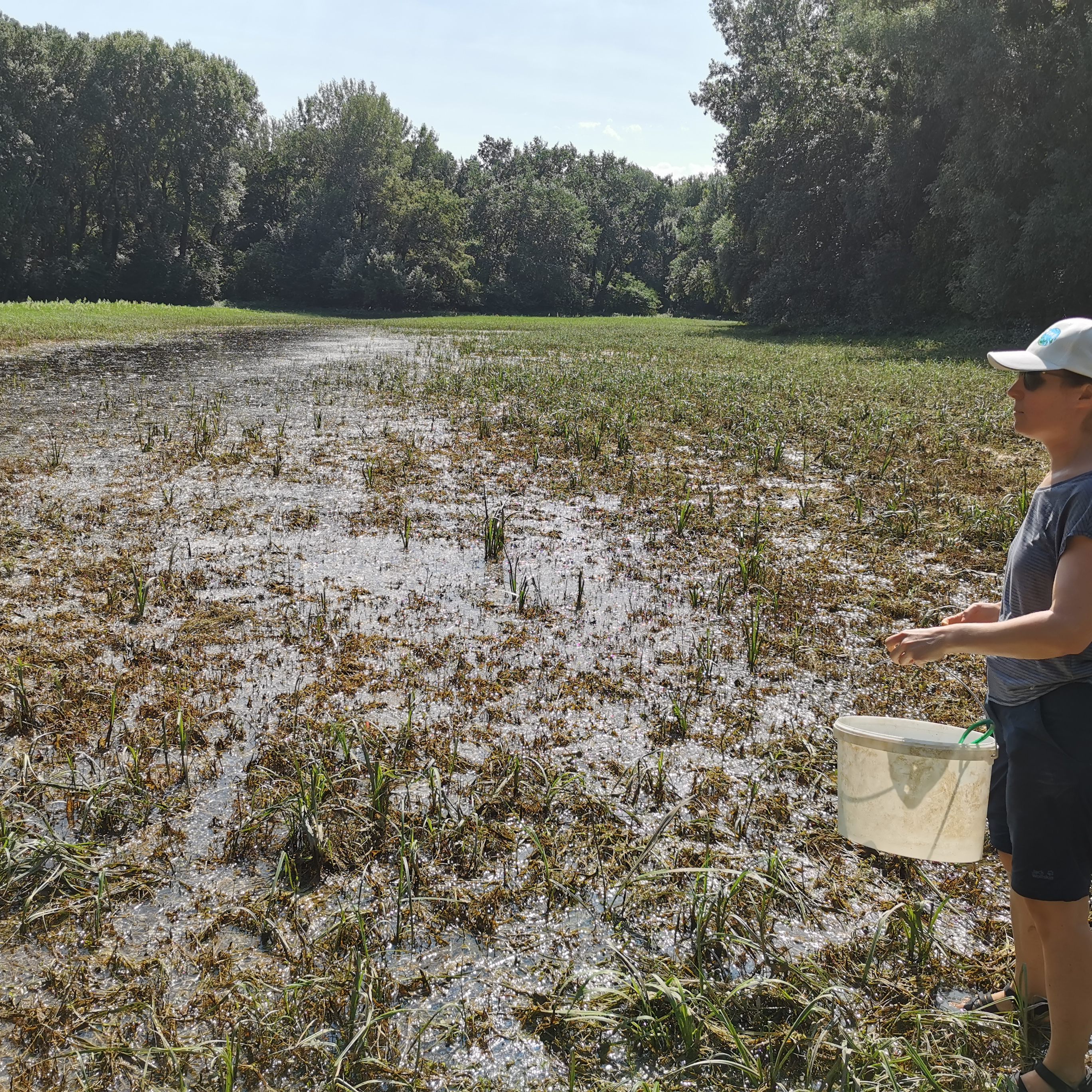 Birgit Rotter und Franz Kovacs entdeckten den Linsenkrebs auf der Lackenwiese bei Stopfenreuth, Nationalpark-Donau-Auen