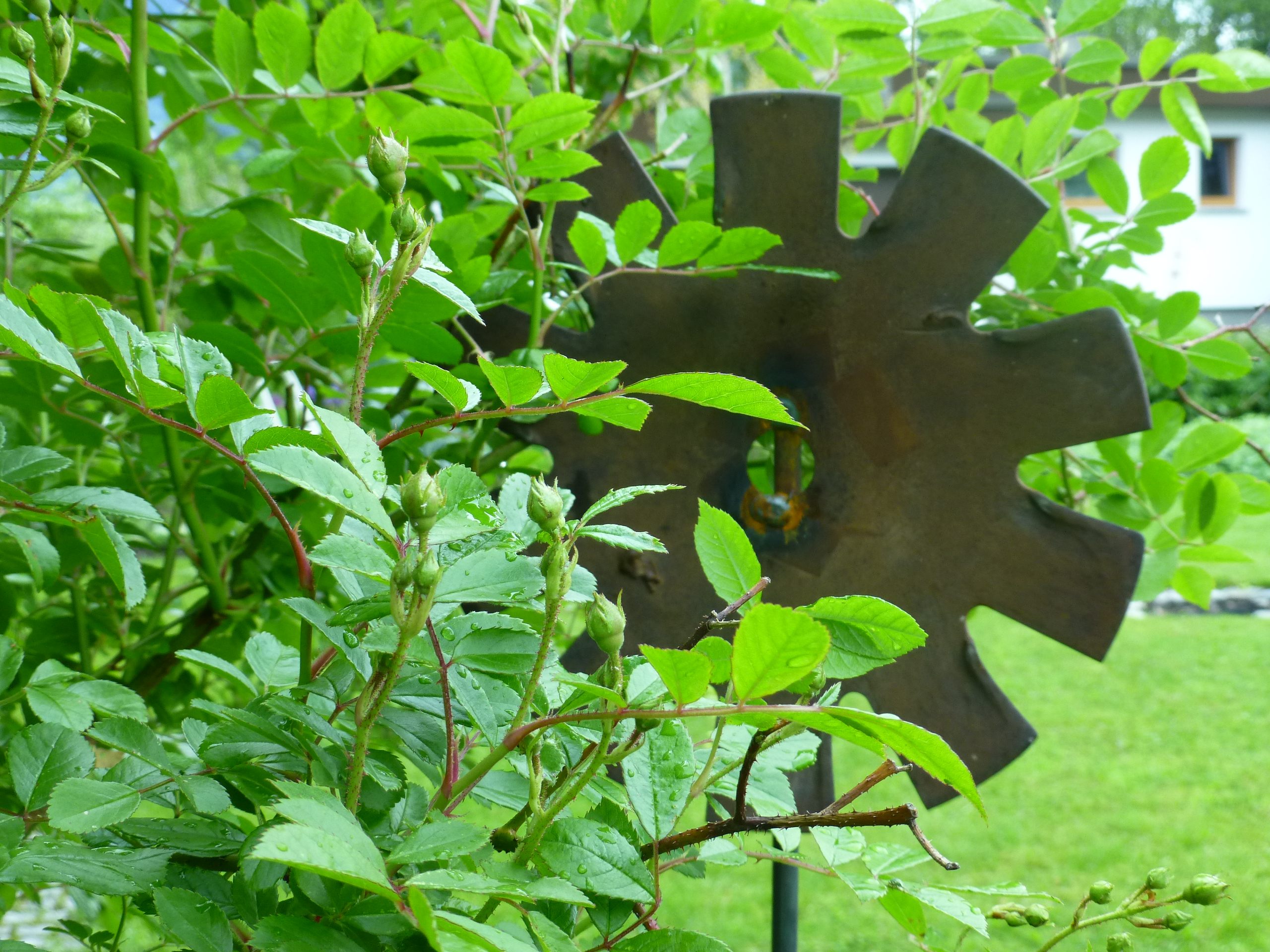 Gartendeko