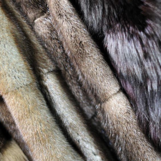 Pelz ist out. Durch die Coronakrise ist "Tierwohl" in der Mode ein wichtiger Punkt bei der Kaufentscheidung.