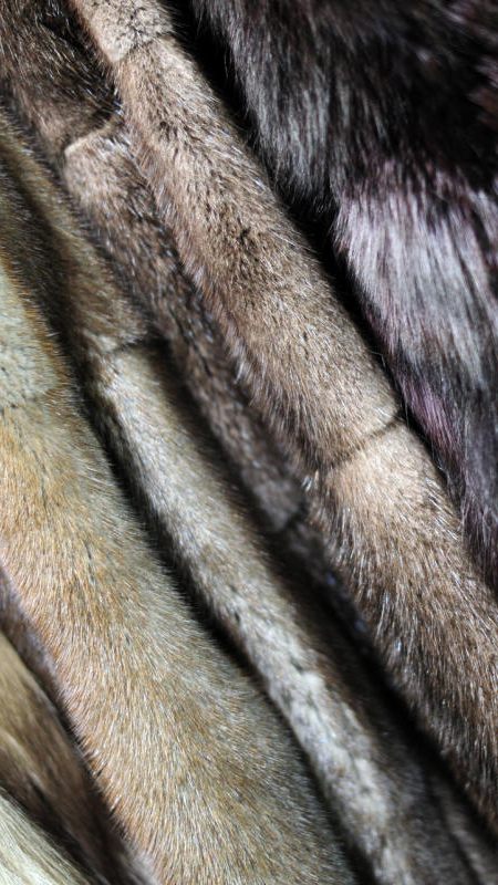 Pelz ist out. Durch die Coronakrise ist "Tierwohl" in der Mode ein wichtiger Punkt bei der Kaufentscheidung.